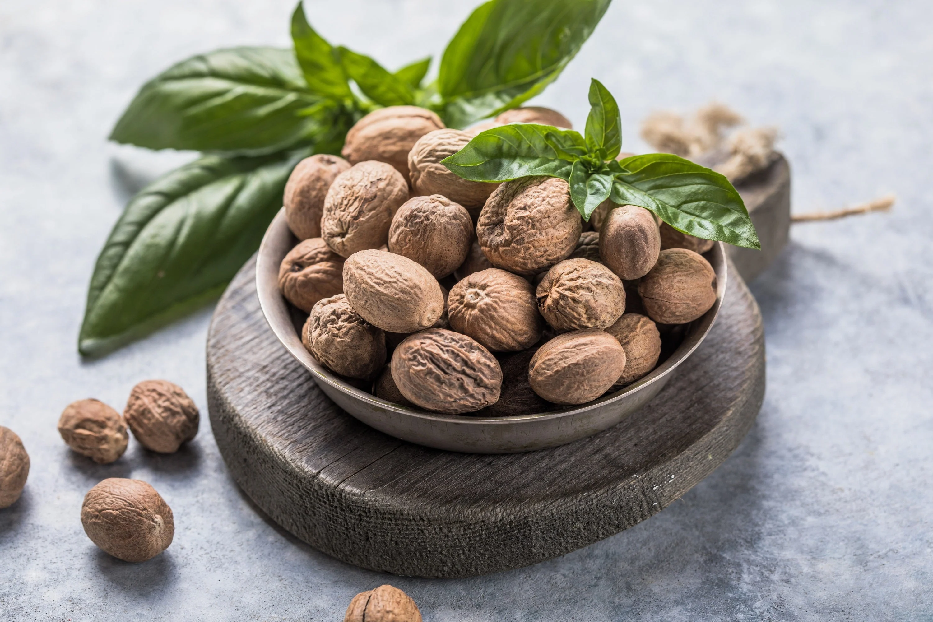 1 NUTMEG TREE Seed Myristica Fragrans Pala MACE Fruit Nut Pumpkin Pie Spice - Image 9