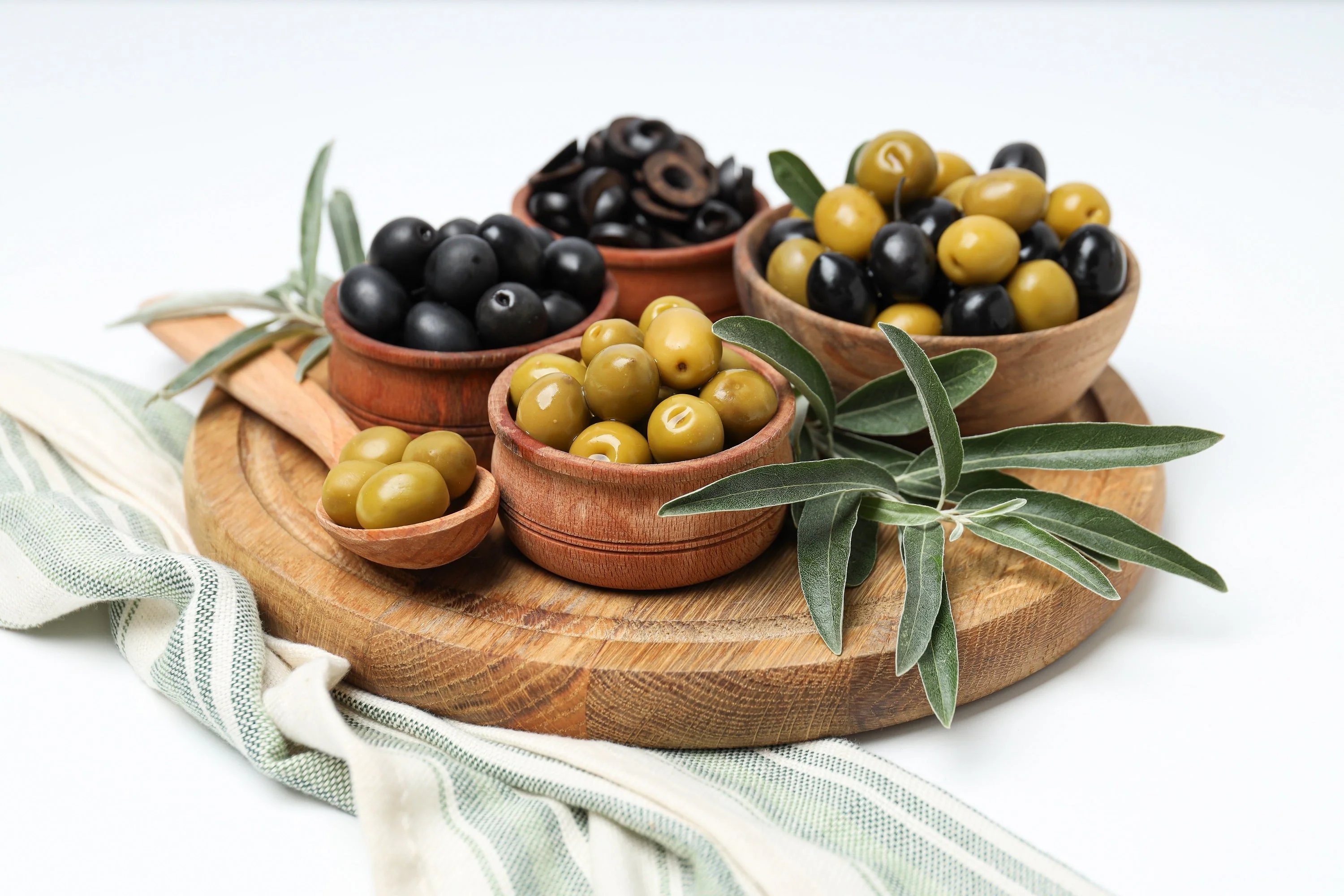 10 CANINO OLIVE TREE Olea Europaea Canino Edible European Common Green Black Fruit Seed - Image 11