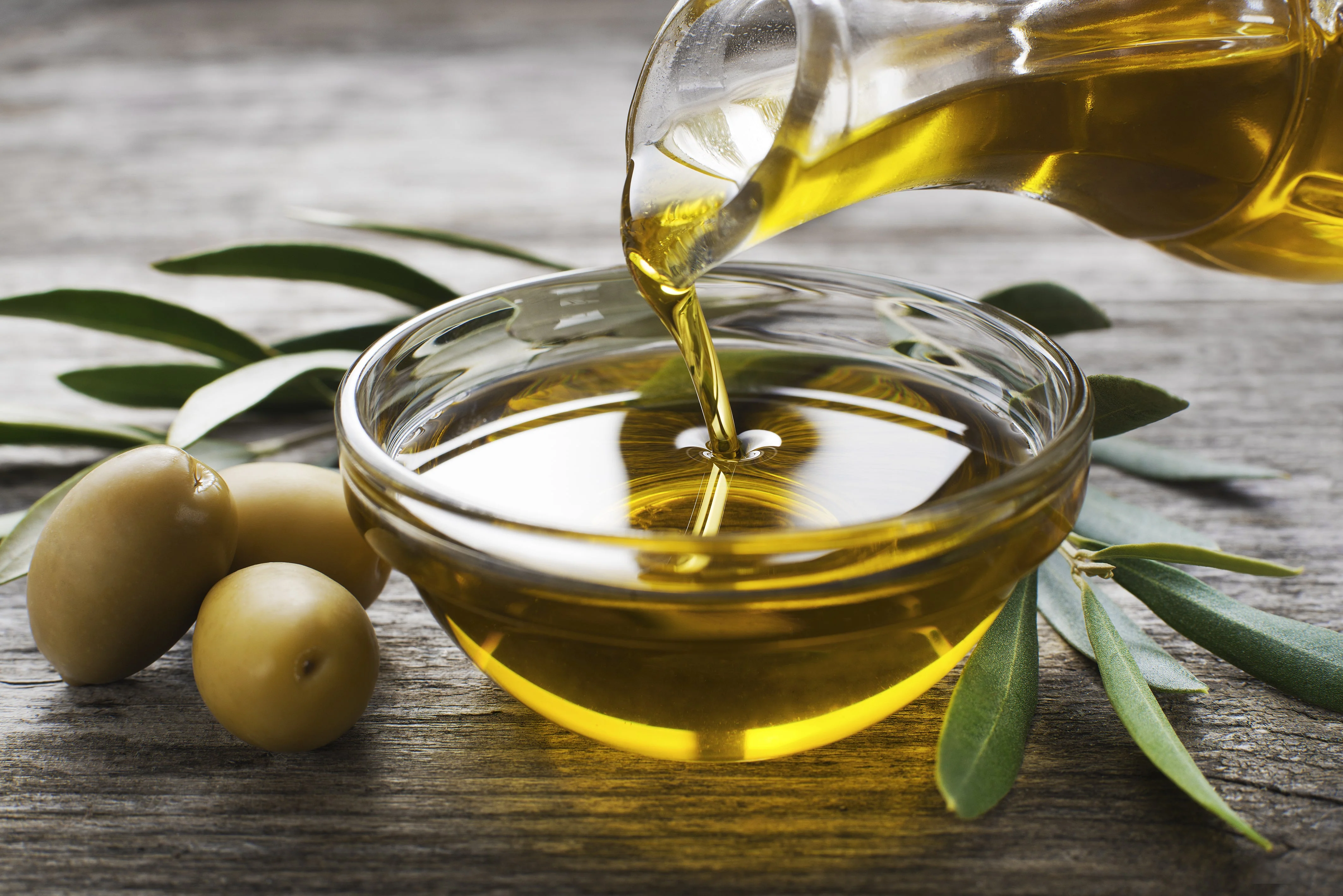 10 CANINO OLIVE TREE Olea Europaea Canino Edible European Common Green Black Fruit Seed - Image 14