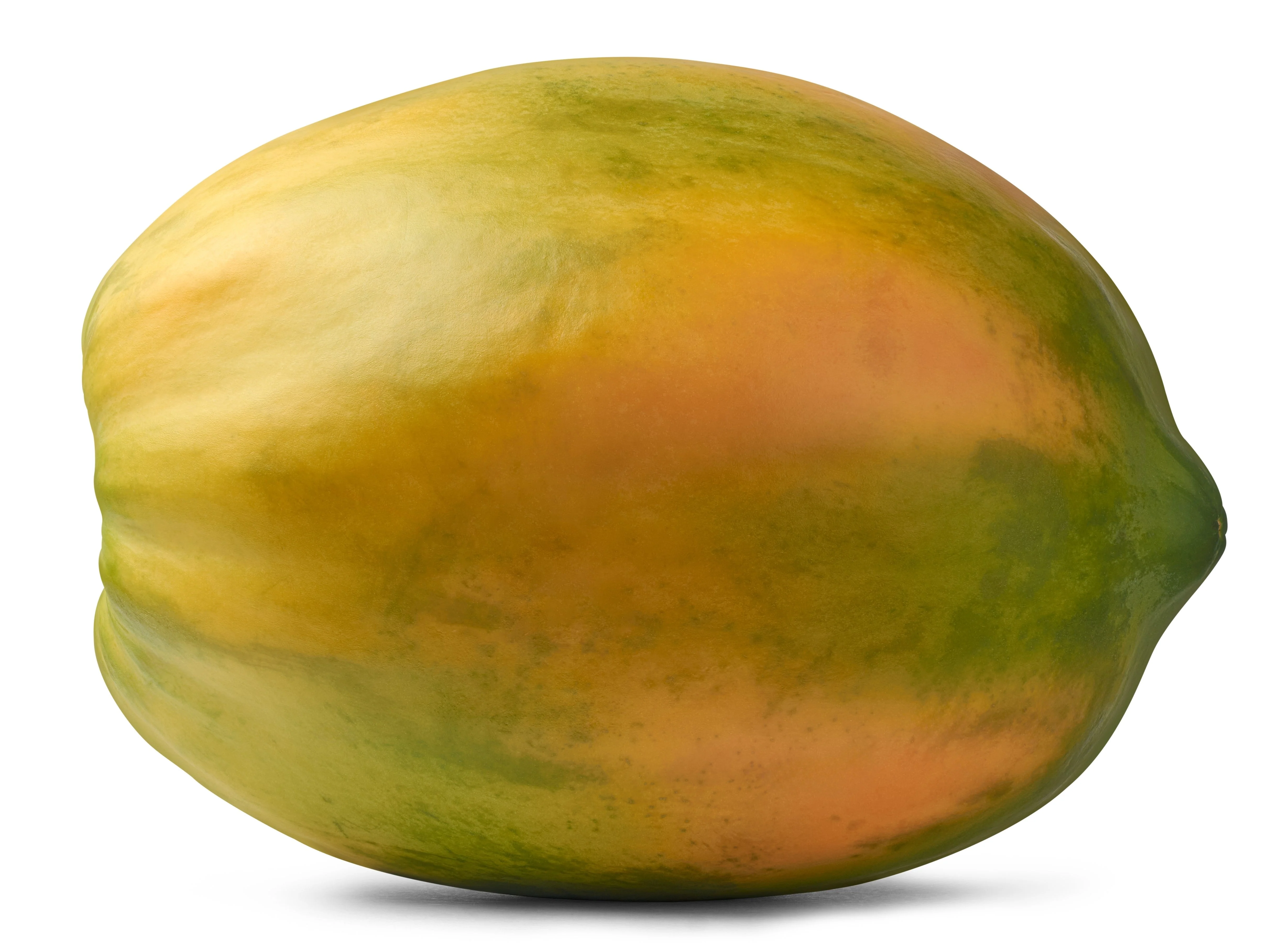 10 DWARF WAIMANALO PAPAYA Solo Hawaiian Carica Fruit Tree Houseplant Seeds - Image 14