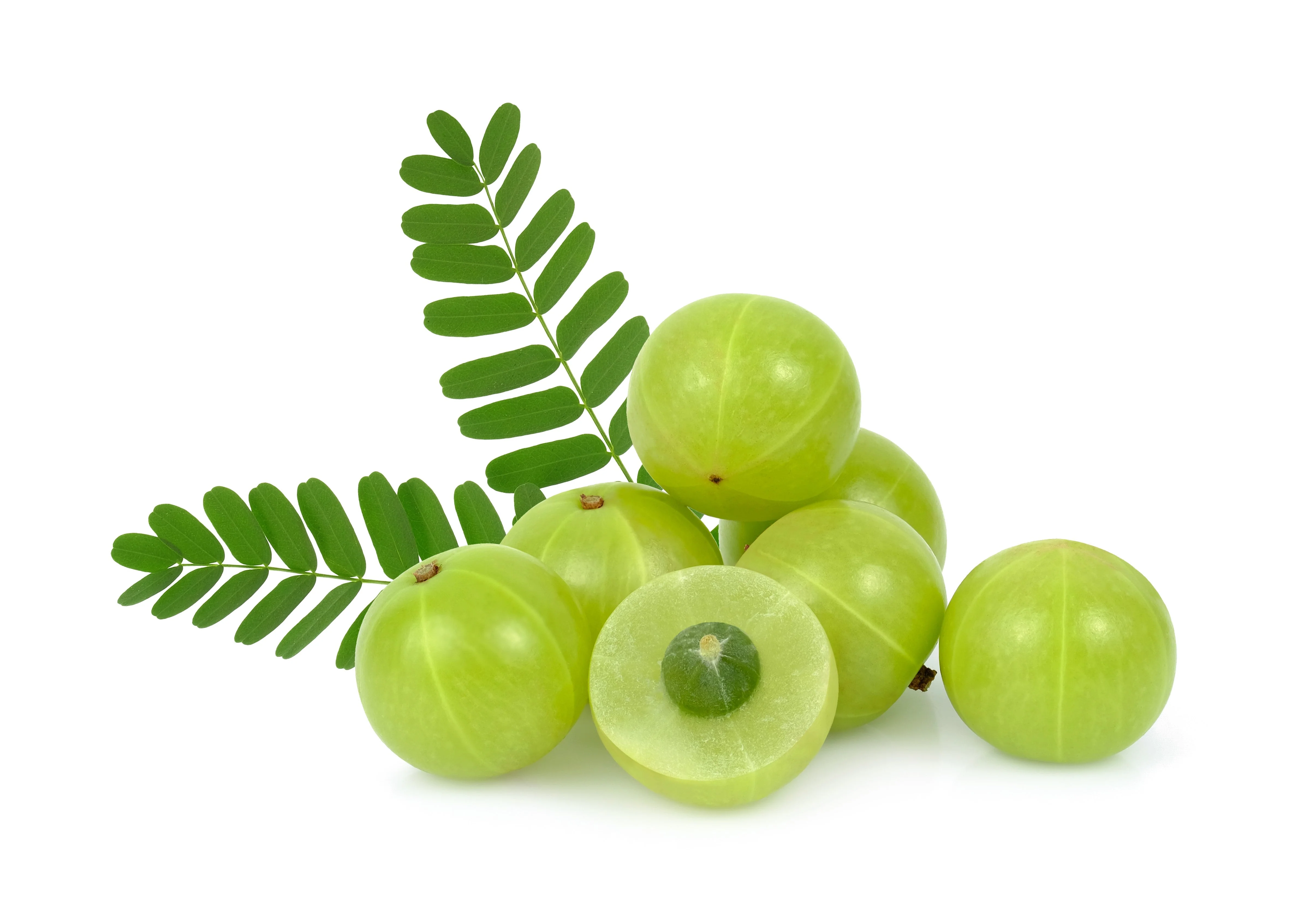 10 INDIAN GOOSEBERRY Phyllanthus Emblica Emblic Edible Fruit Tree Seeds - Image 8
