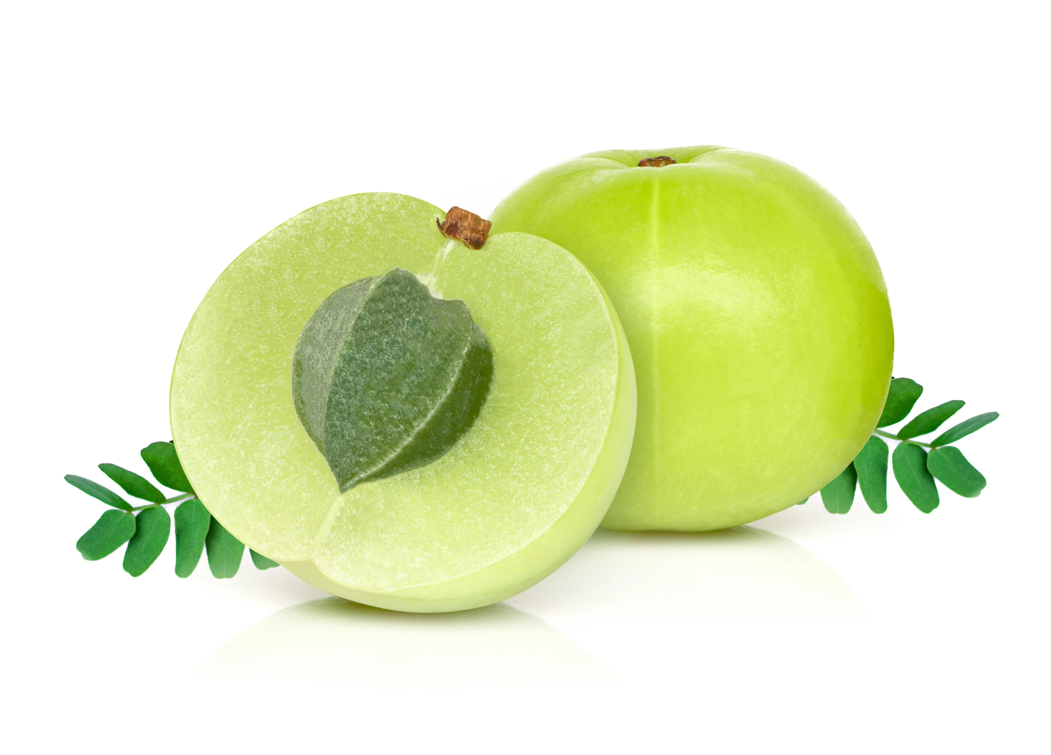 10 INDIAN GOOSEBERRY Phyllanthus Emblica Emblic Edible Fruit Tree Seeds - Image 9