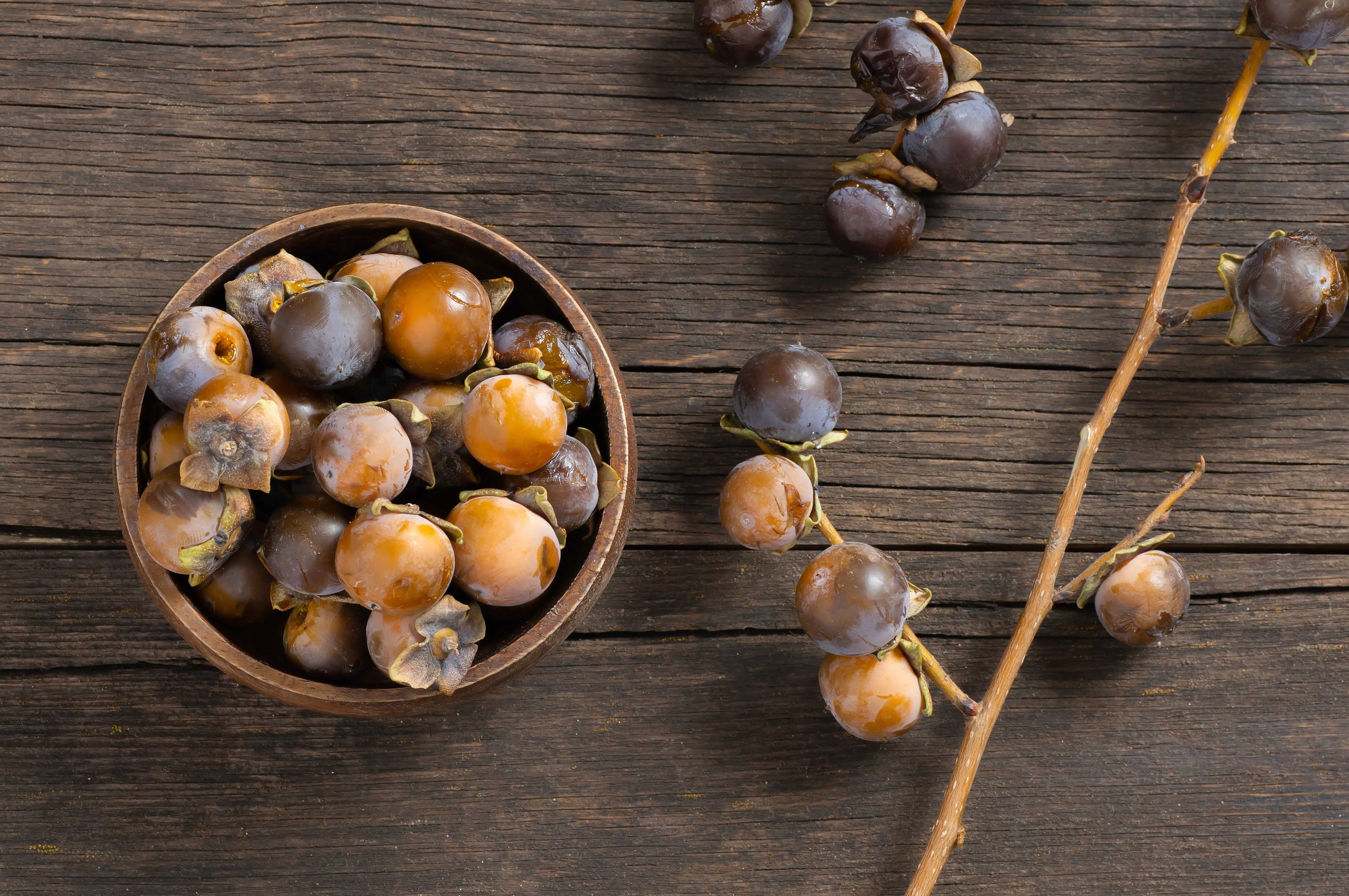 10 ITALIAN PERSIMMON TREE Dateplum Date Plum Fruit Diospyros Lotus Seeds - Image 12