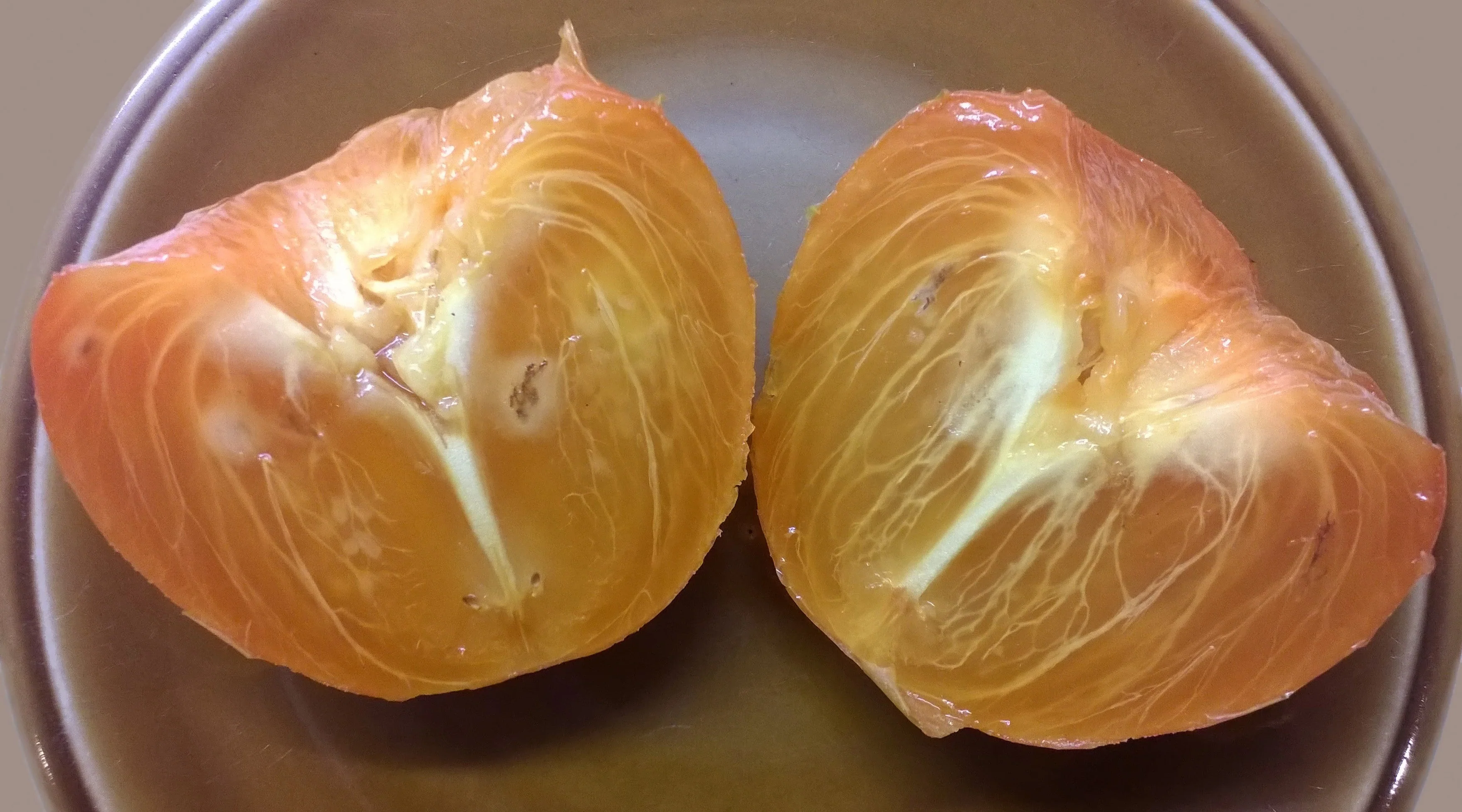 10 ITALIAN PERSIMMON TREE Dateplum Date Plum Fruit Diospyros Lotus Seeds - Image 7