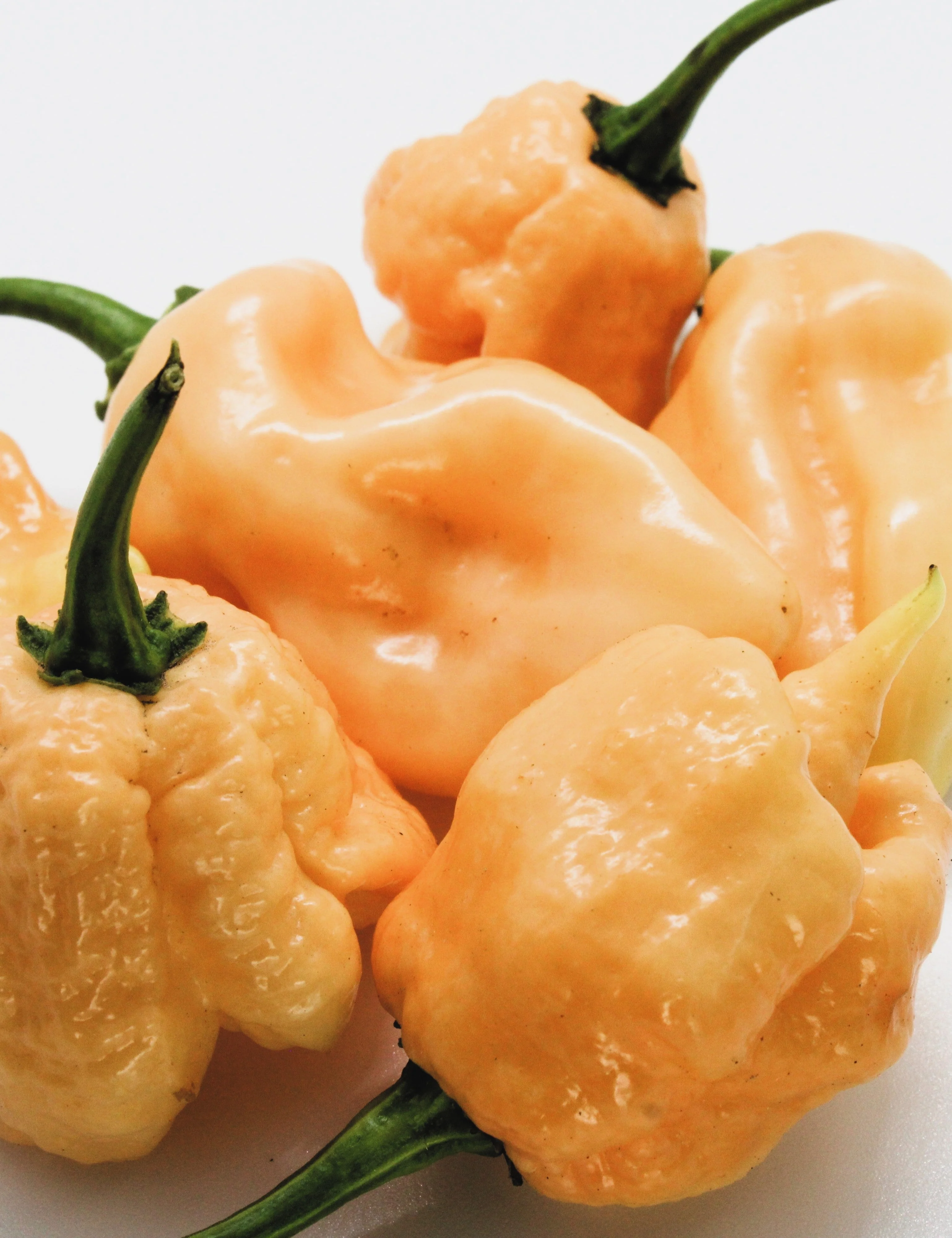 10 Peach CAROLINA REAPER PEPPER World's Hottest Capsicum Chinense Hot Chili Vegetable Seeds - Image 2