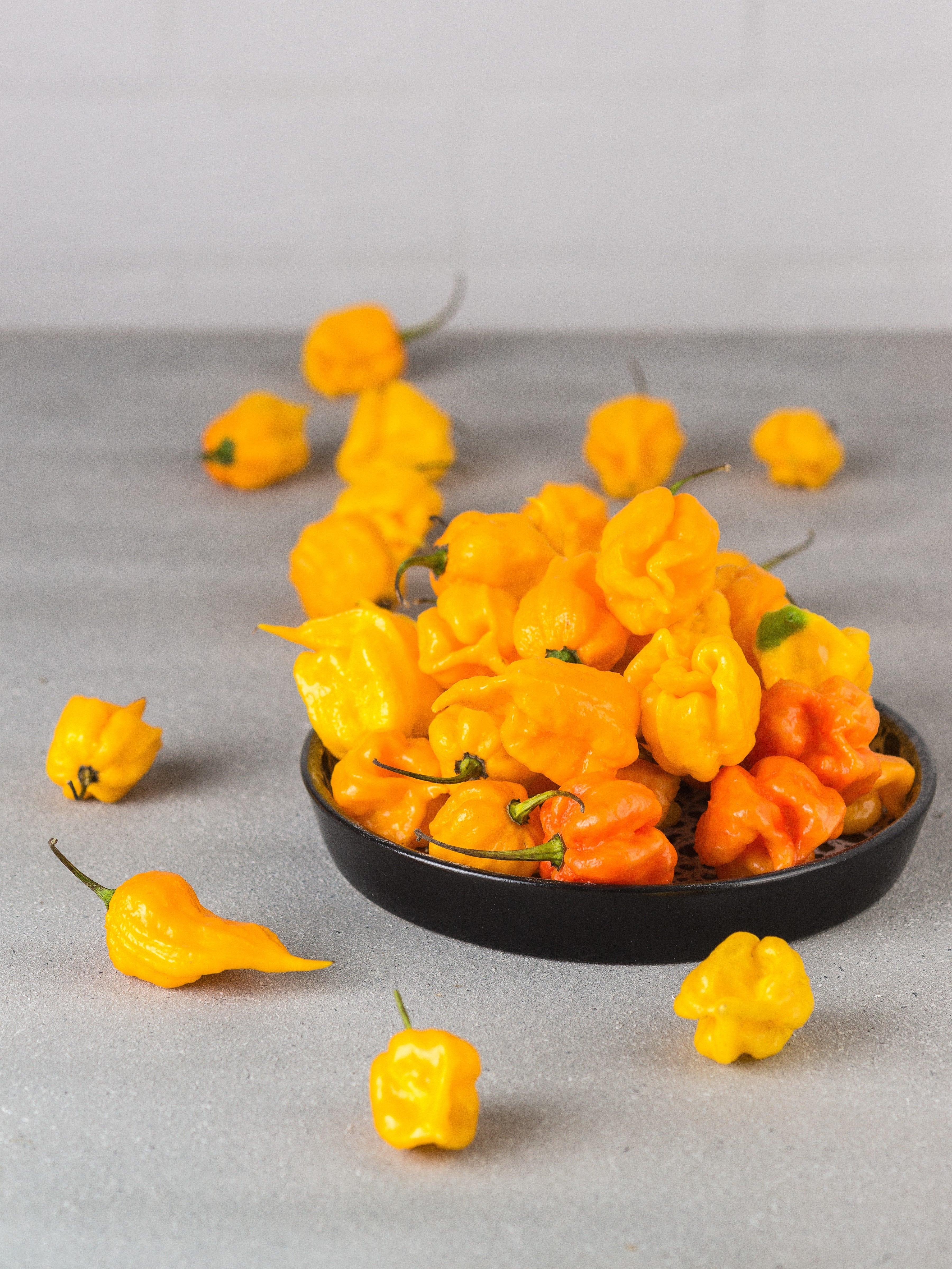 10 Yellow CAROLINA REAPER PEPPER World's Hottest Capsicum Chinense Hot Chili Vegetable Seeds - Image 2