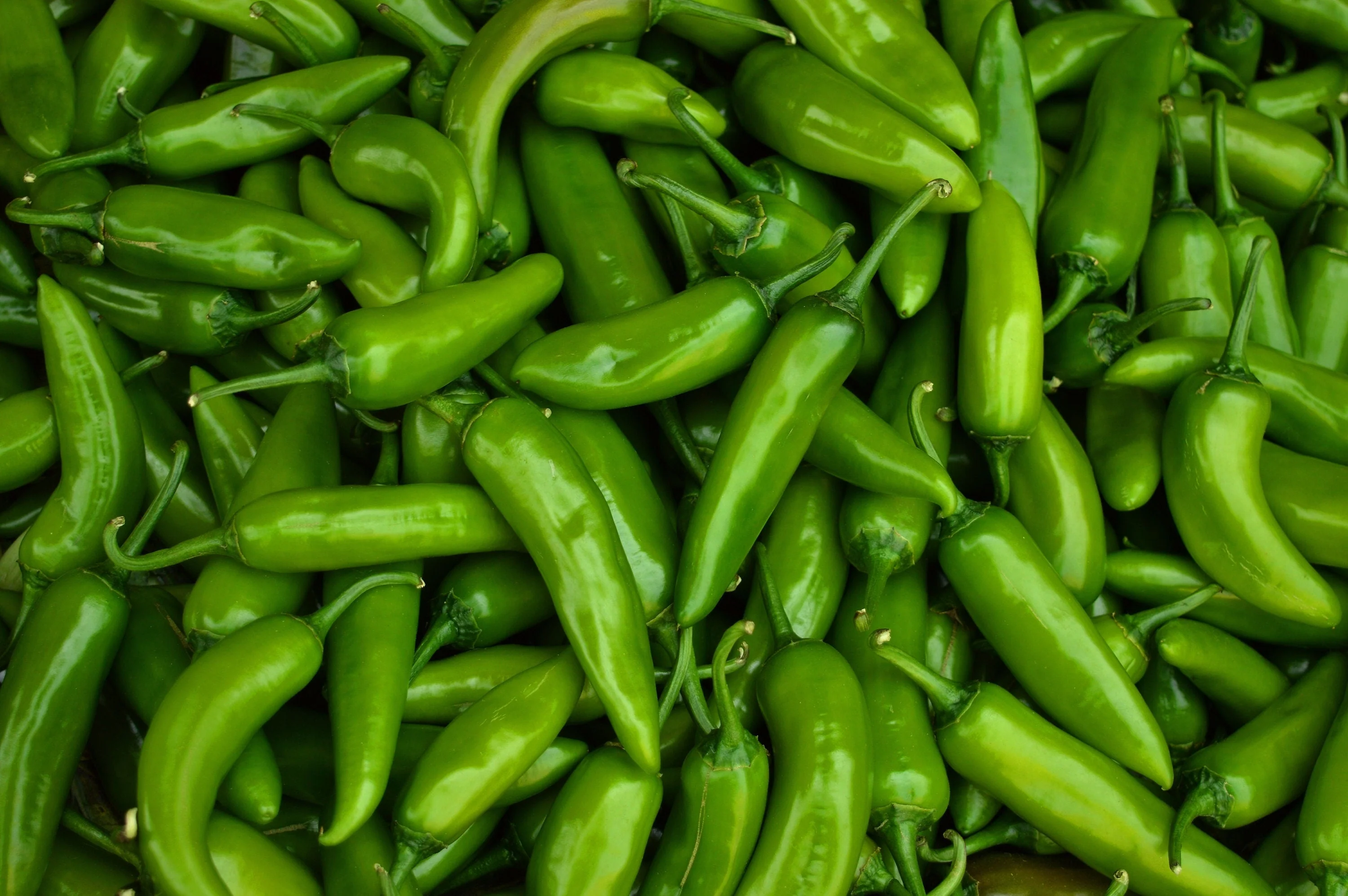 100 BIG JIM PEPPER Green to Red Big 12" Chili Mild Heat Capsicum Annuum Vegetable Seeds - Image 3