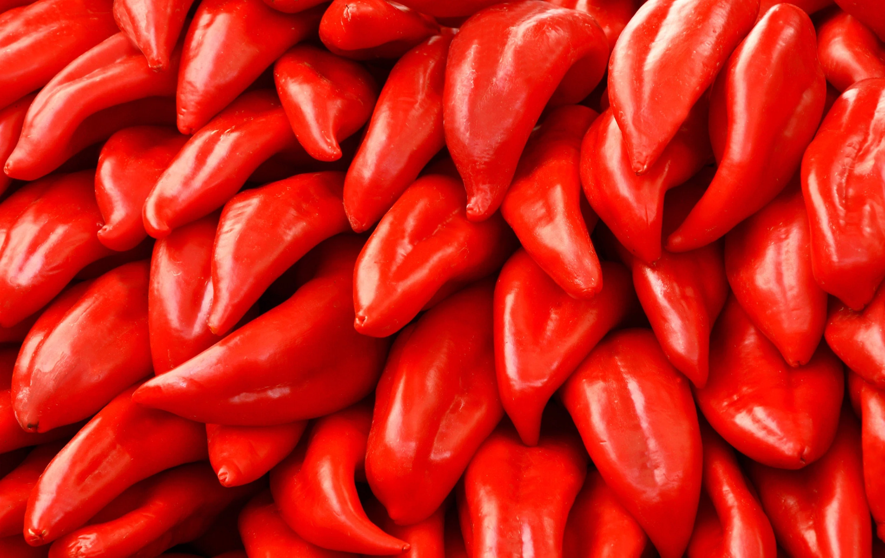 100 BIG JIM PEPPER Green to Red Big 12" Chili Mild Heat Capsicum Annuum Vegetable Seeds - Image 5