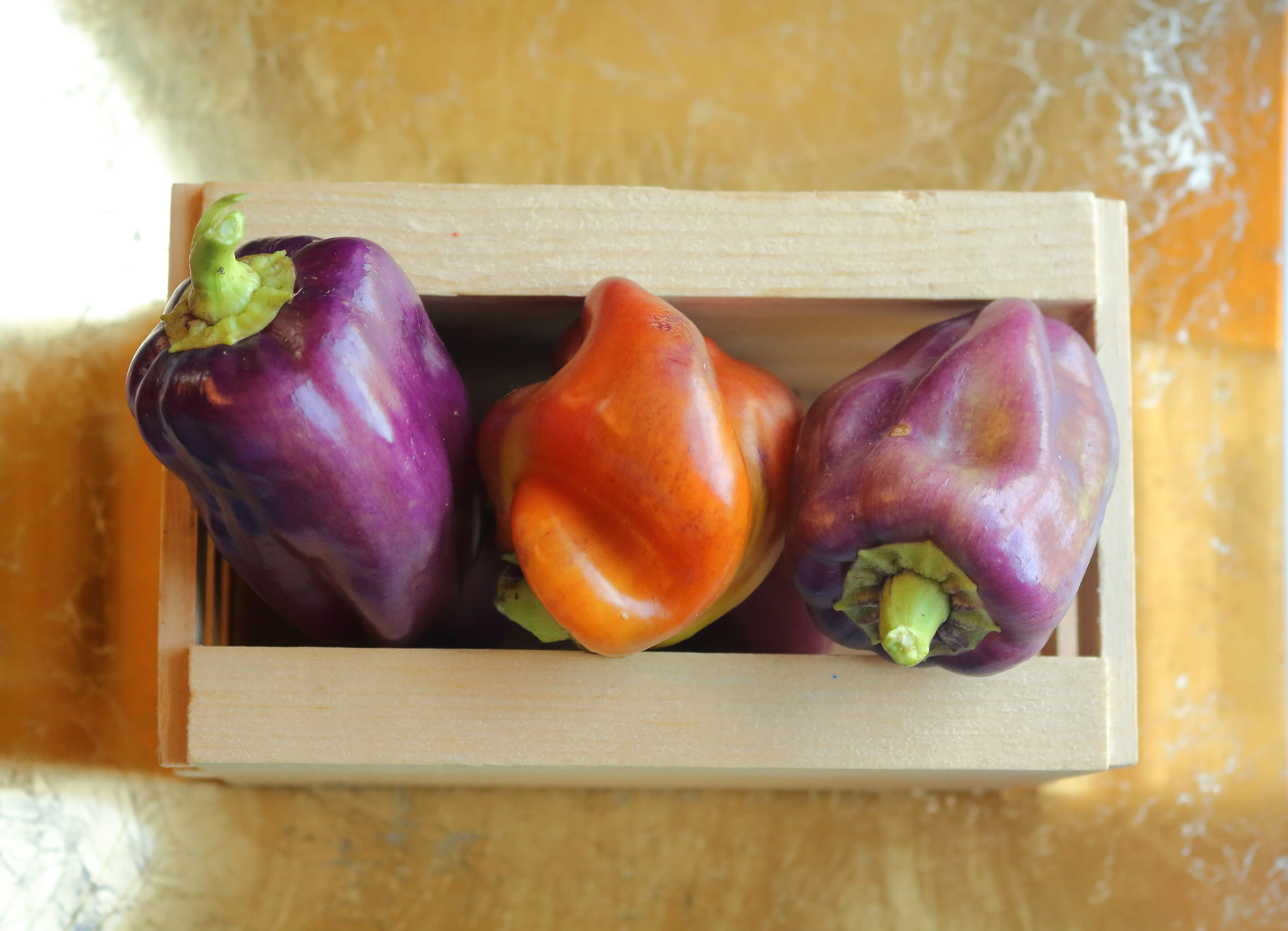 100 LILAC BELL PEPPER Capsicum Annuum Sweet Mild Purple Vegetable Seeds - Image 5