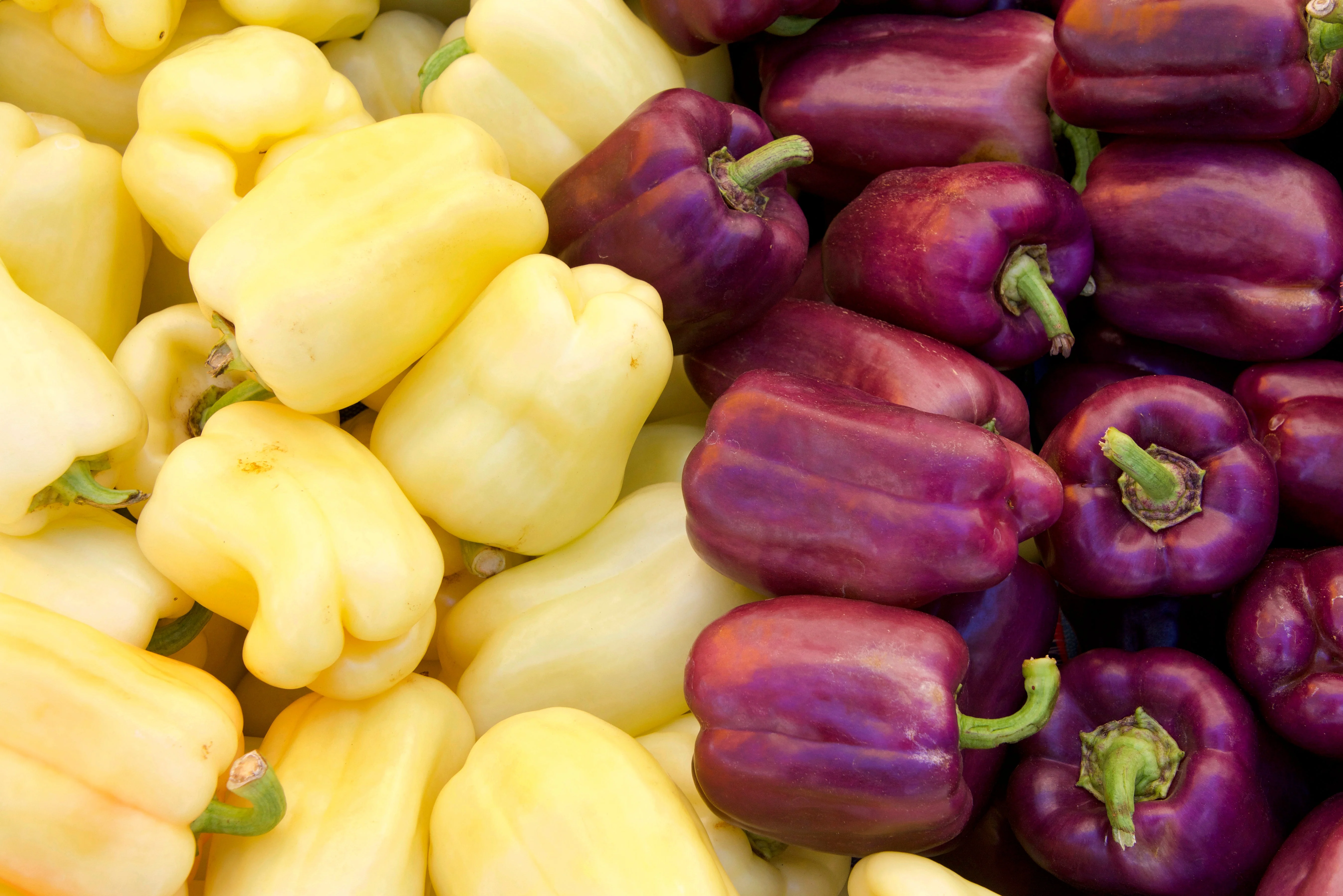 100 LILAC BELL PEPPER Capsicum Annuum Sweet Mild Purple Vegetable Seeds - Image 6