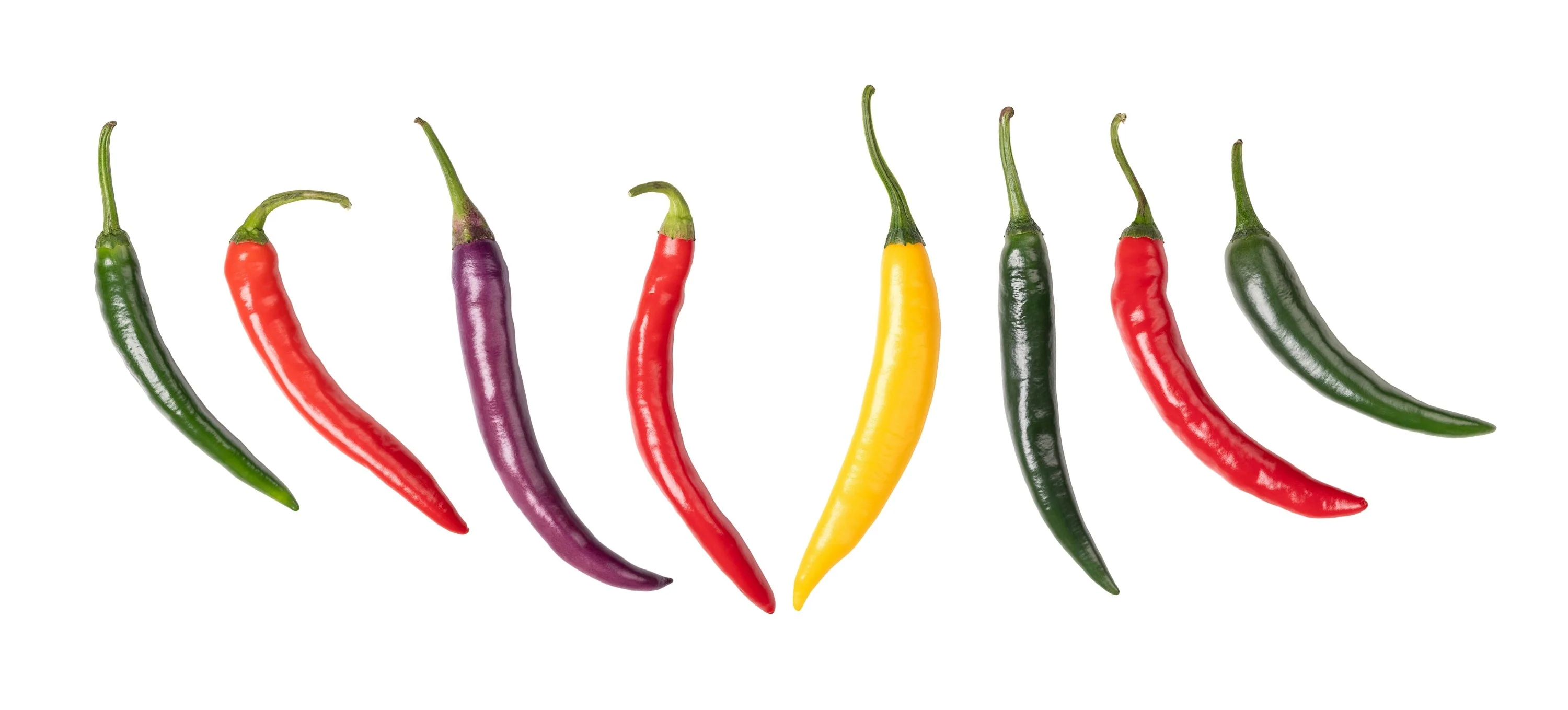 100 MIXED CAYENNE PEPPER Yellow Purple Orange Red Green Capsicum Vegetable Seeds - Image 15