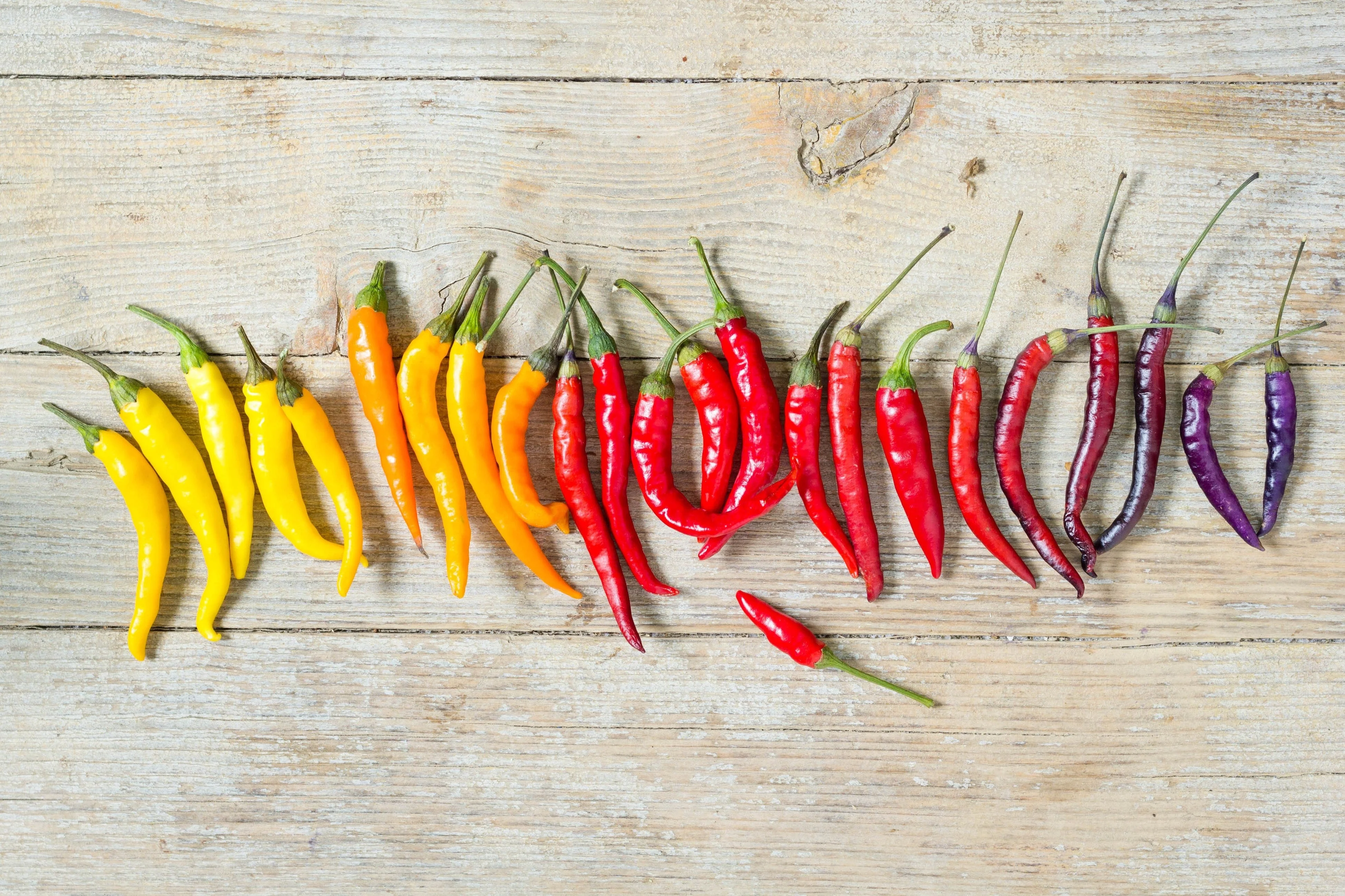 100 MIXED CAYENNE PEPPER Yellow Purple Orange Red Green Capsicum Vegetable Seeds - Image 2