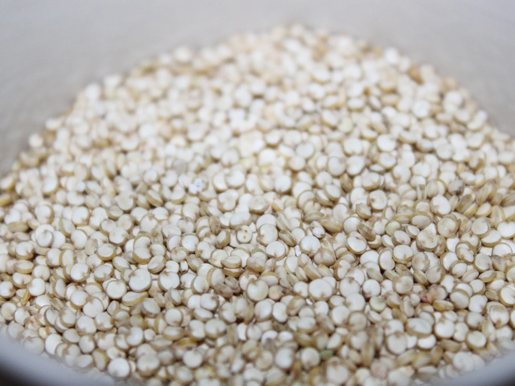 100 Organic PEPPERMINT QUINOA Grain Chenopodium Quinoa White & Green Heads - White Seeds - Image 9