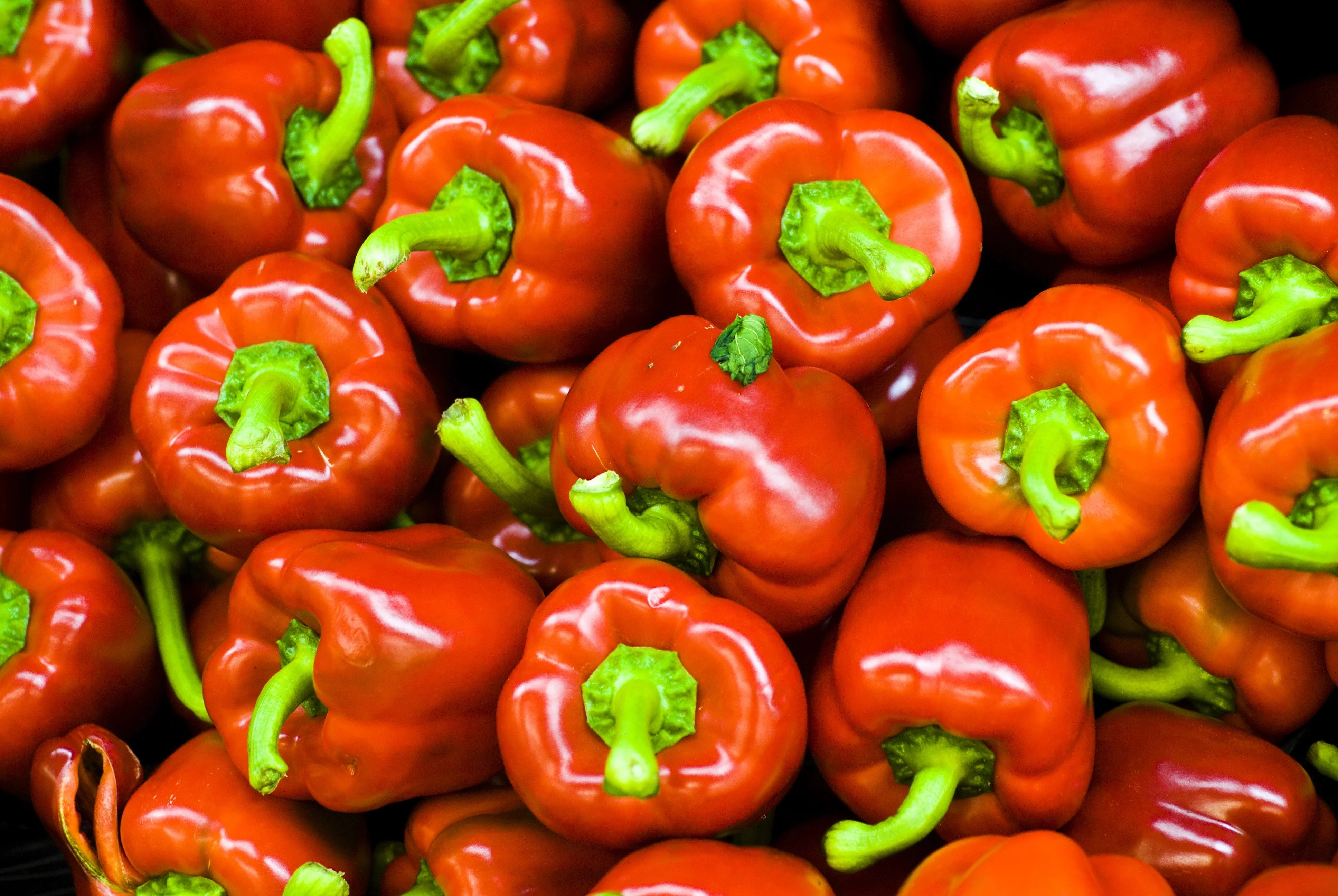 100 PIMENTO PEPPER (Red Sweet Pimientio / Italianelle / Cheese, Roasting, Frying Pepper) Capsicum Annuum Seeds - Image 4