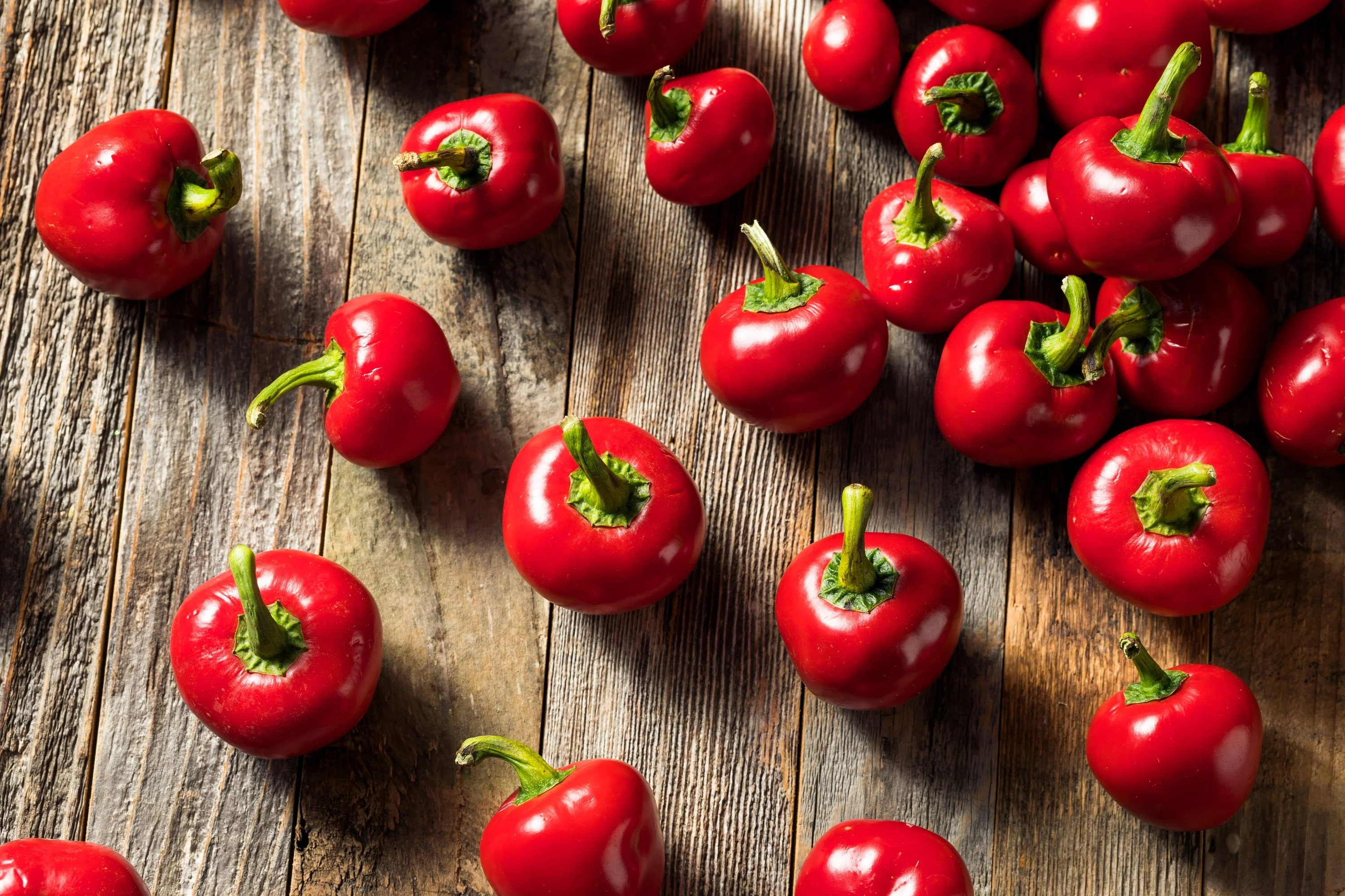 100 Red CHERRY HOTS Pepper (Finger Hots, Hot Cherry Pepper, Hot Chili Pepper, Cherry Chili Pepper, Pimienta) Capsicum Annuum Vegetable Seeds - Image 4