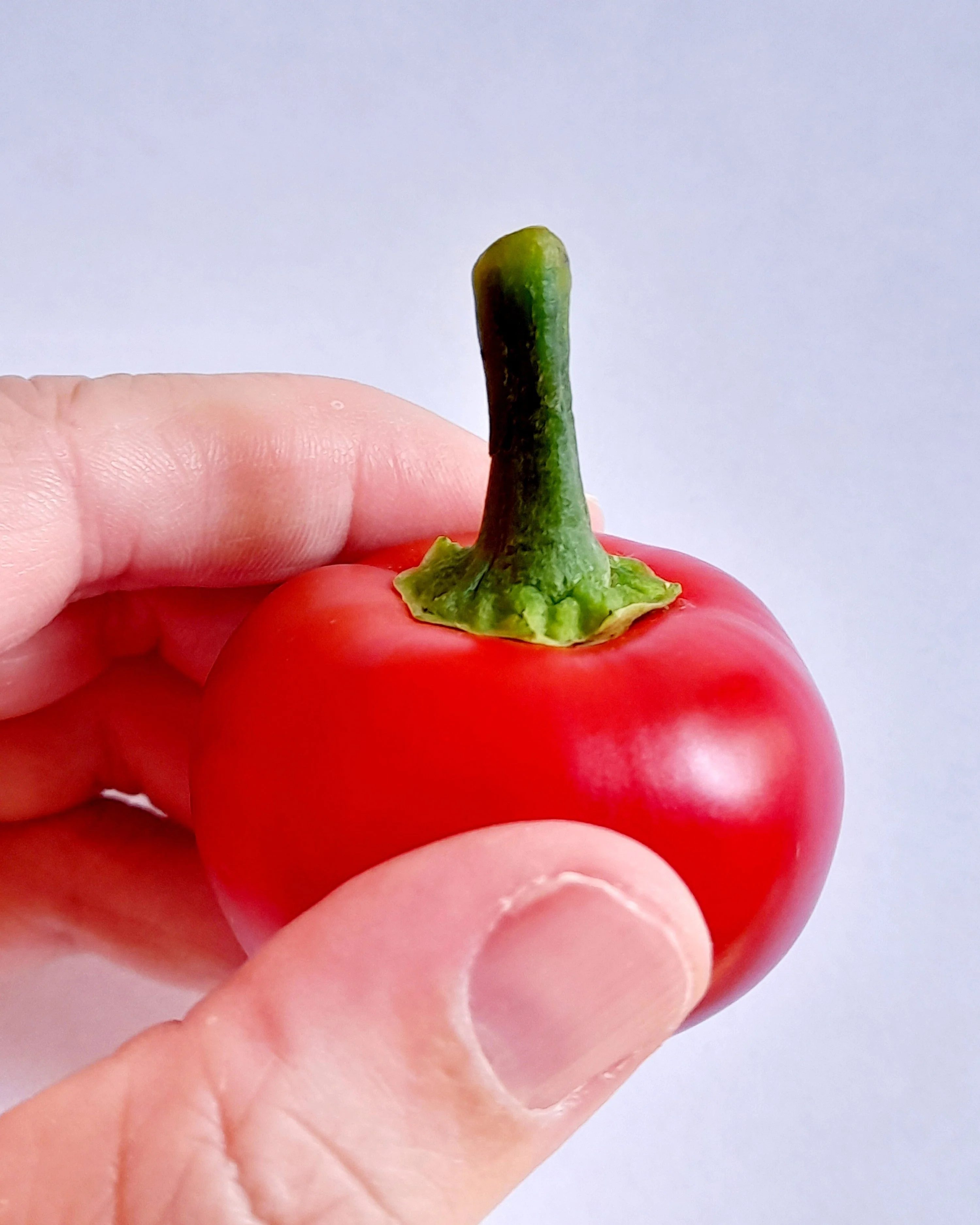 100 SWEET CHERRY PEPPER Red Chili Capsicum Annuum Vegetable Seeds - Image 2