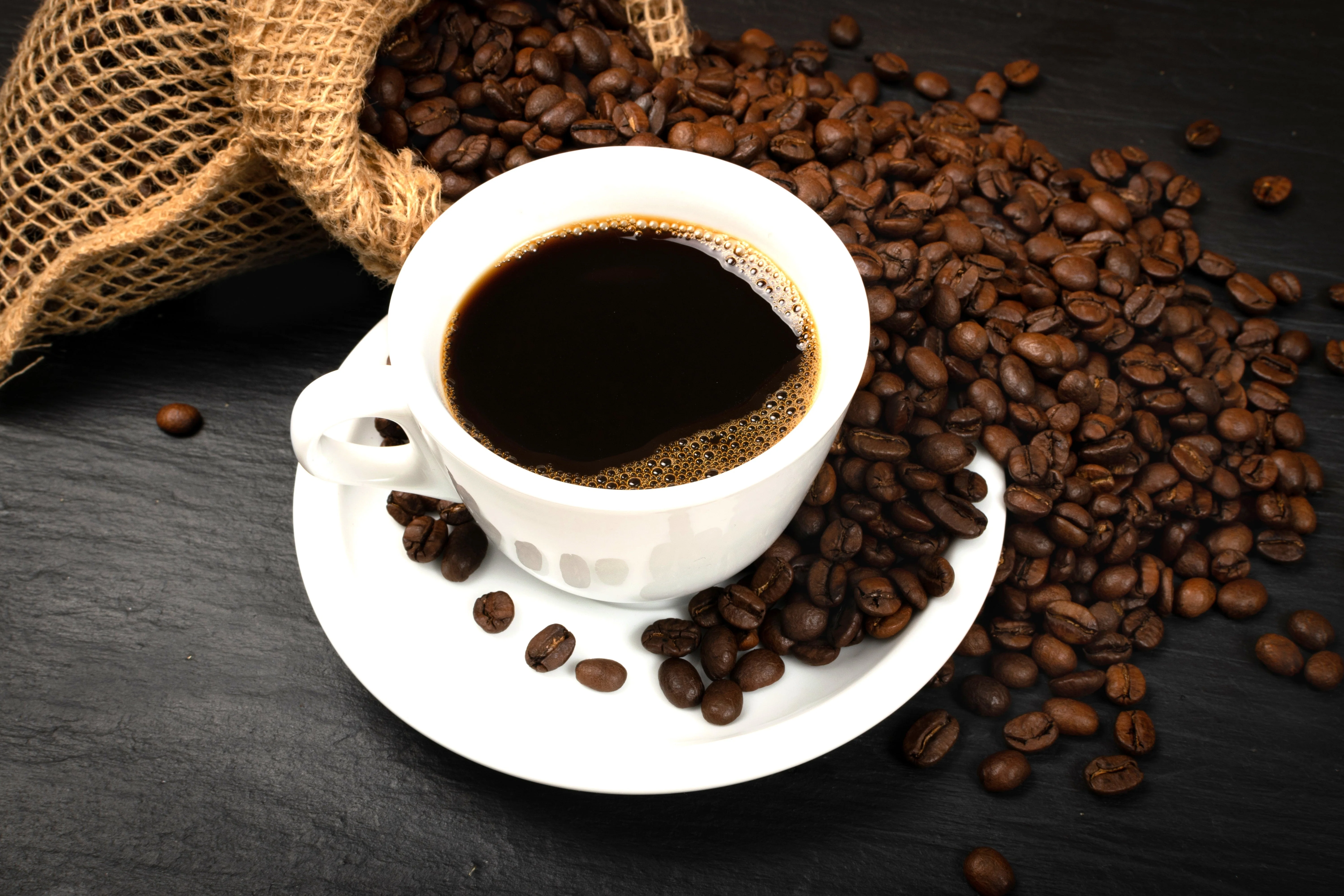 15 ARABICA COFFEE Tree Shrub Seeds - Grow your own coffee! - Image 6