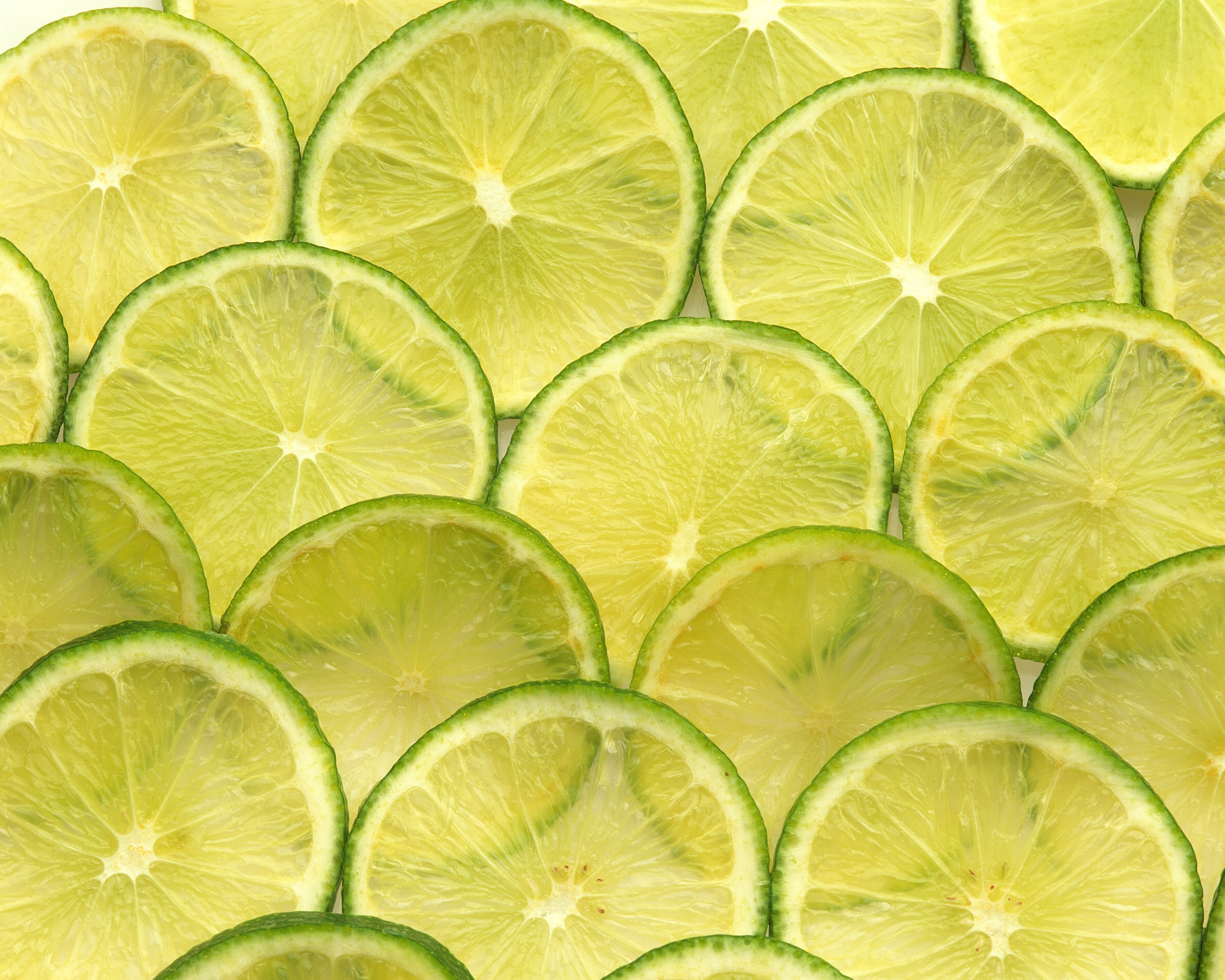 15 KEY LIME Citrus Aurantifolia Fruit Tree Shrub Seeds - Image 10