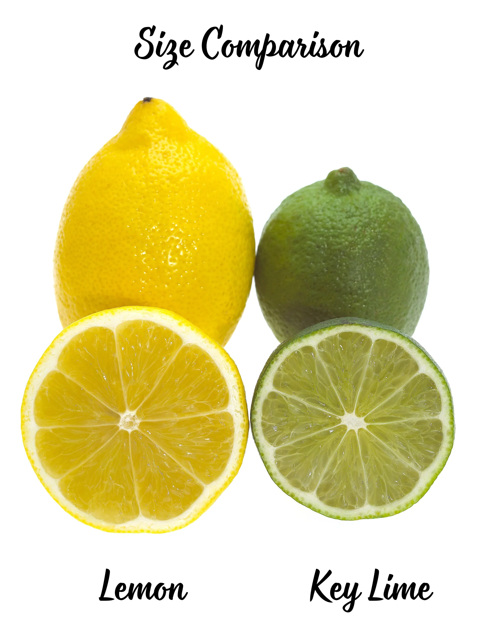 15 KEY LIME Citrus Aurantifolia Fruit Tree Shrub Seeds - Image 3