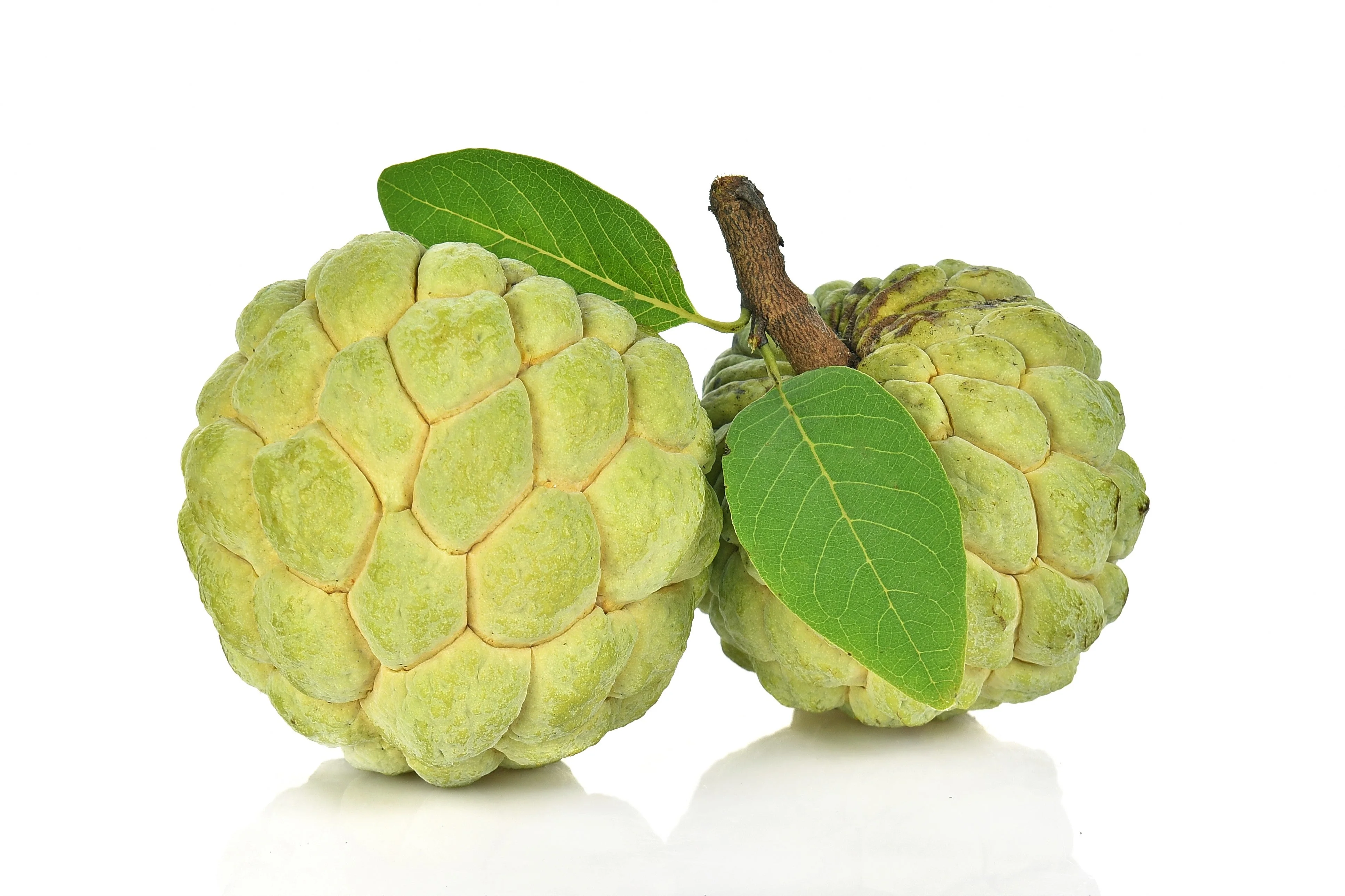 15 SUGAR APPLE Sweetsop Custard Apple Annona Squamosa Sweet Delicious Edible Fruit Tree Seeds - Image 5