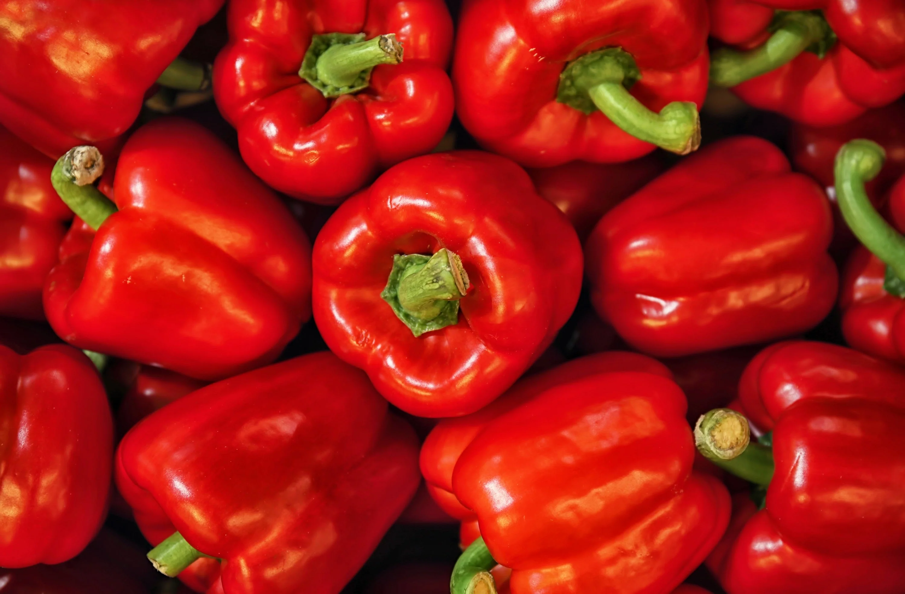 150 BIG RED Bell PEPPER Sweet Capsicum Annuum Vegetable Seeds - Image 6
