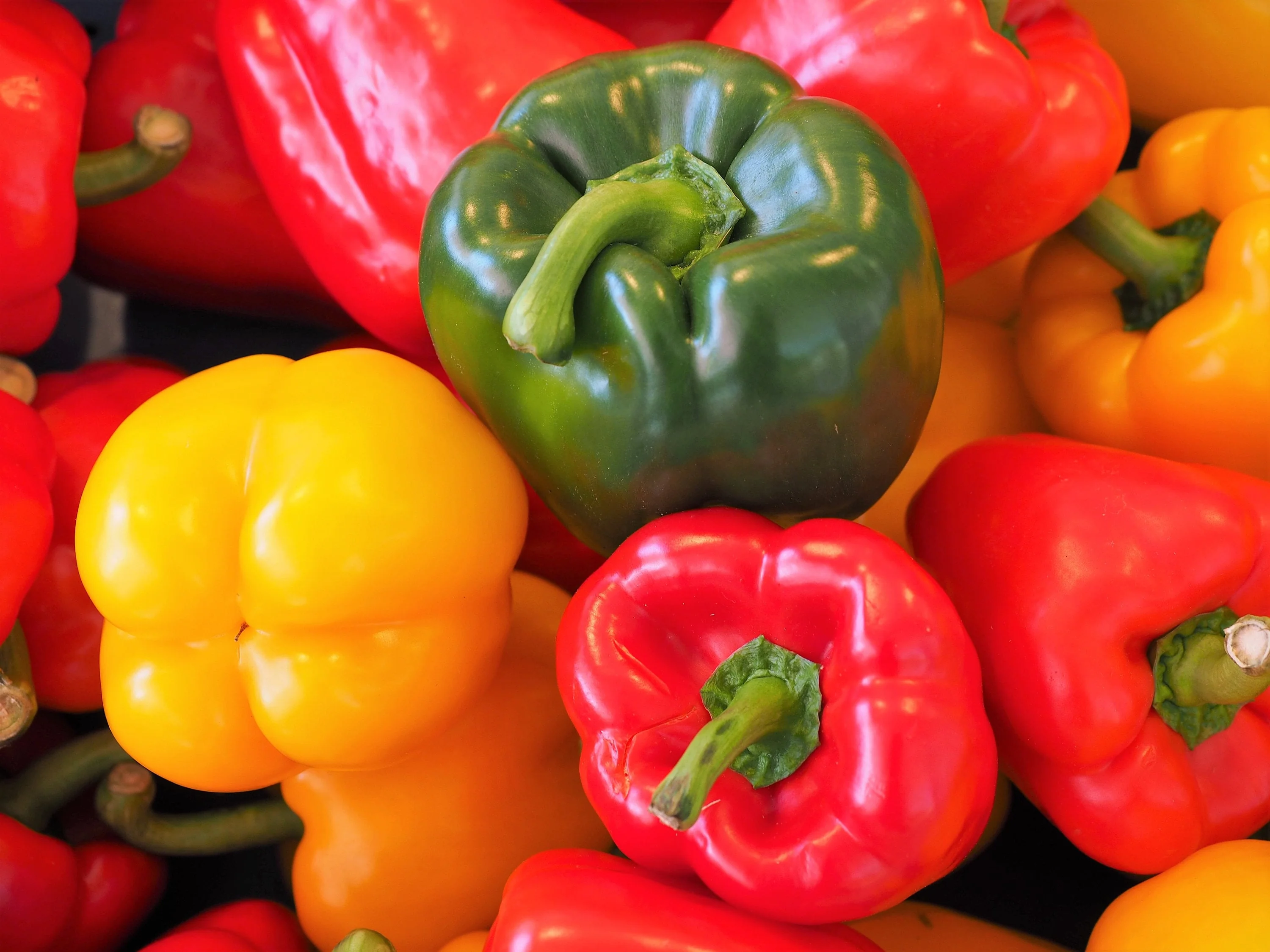 150 RAINBOW BELL PEPPER Sweet Red, Green, Yellow, Orange, Purple, Brown, & White Capsicum Annuum Vegetable Seeds - Image 6