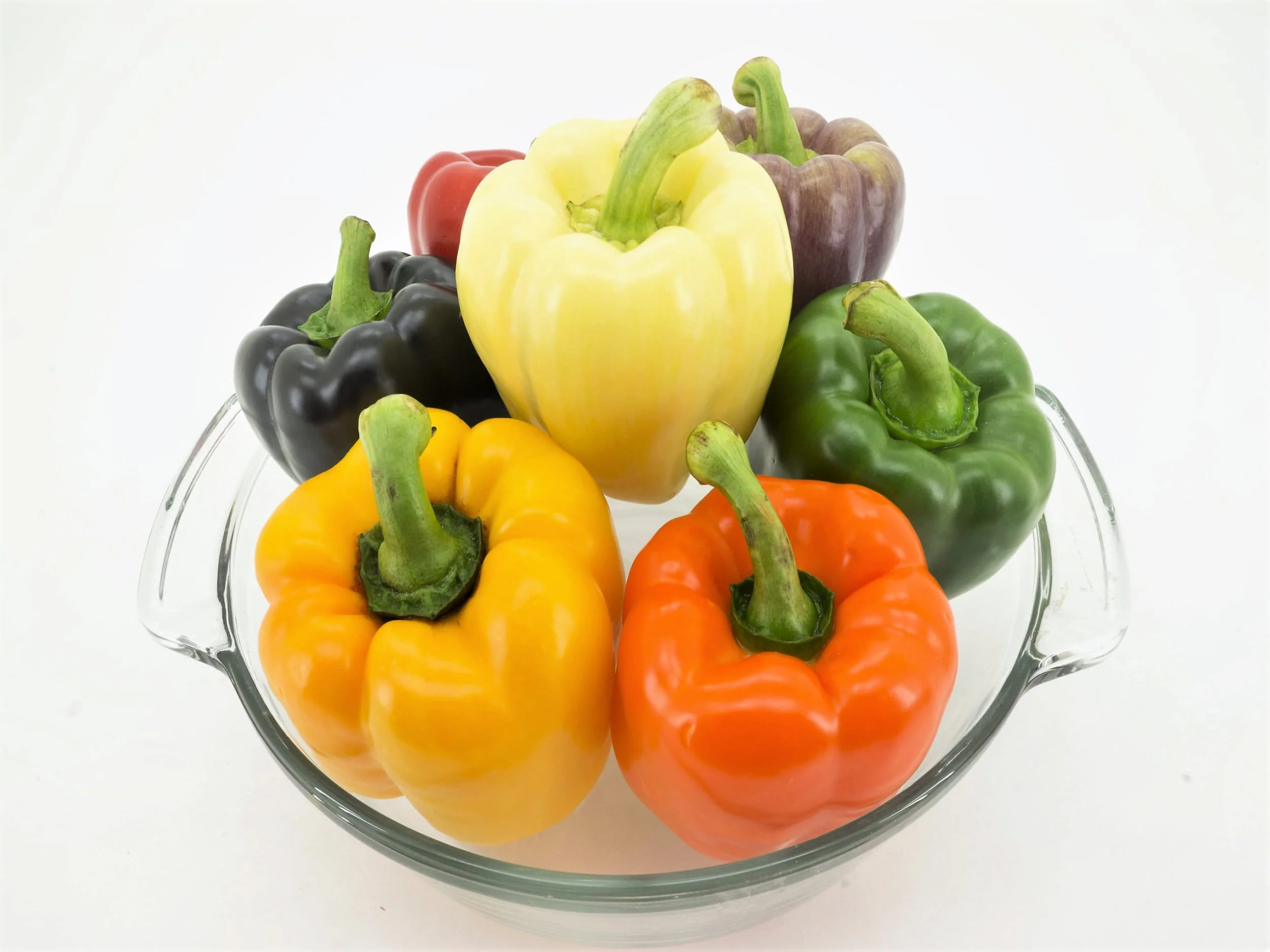 150 RAINBOW BELL PEPPER Sweet Red, Green, Yellow, Orange, Purple, Brown, & White Capsicum Annuum Vegetable Seeds - Image 9