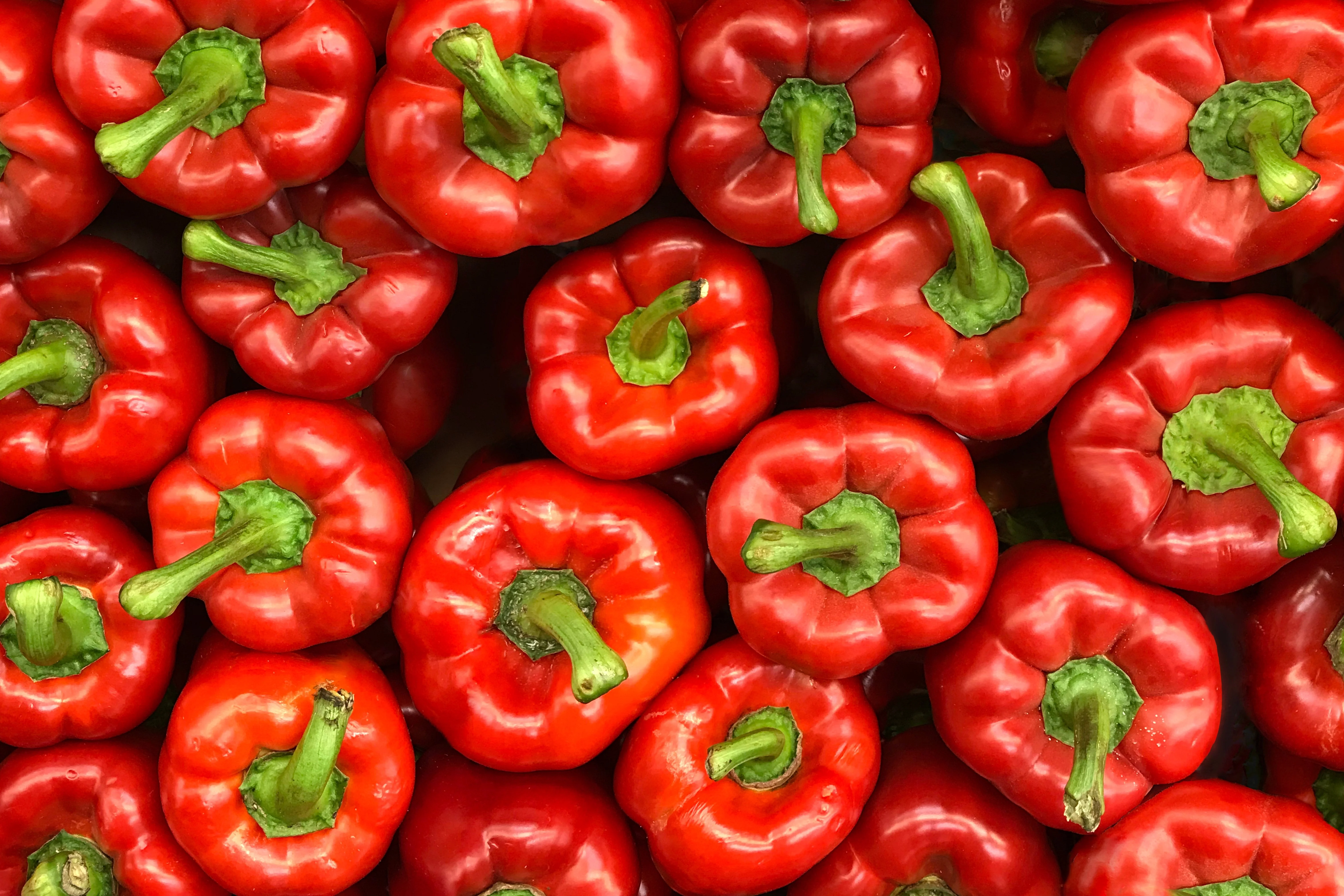 150 Yolo Wonder Sweet RED BELL PEPPER Capiscum Annuum Vegetable Seeds - Image 4