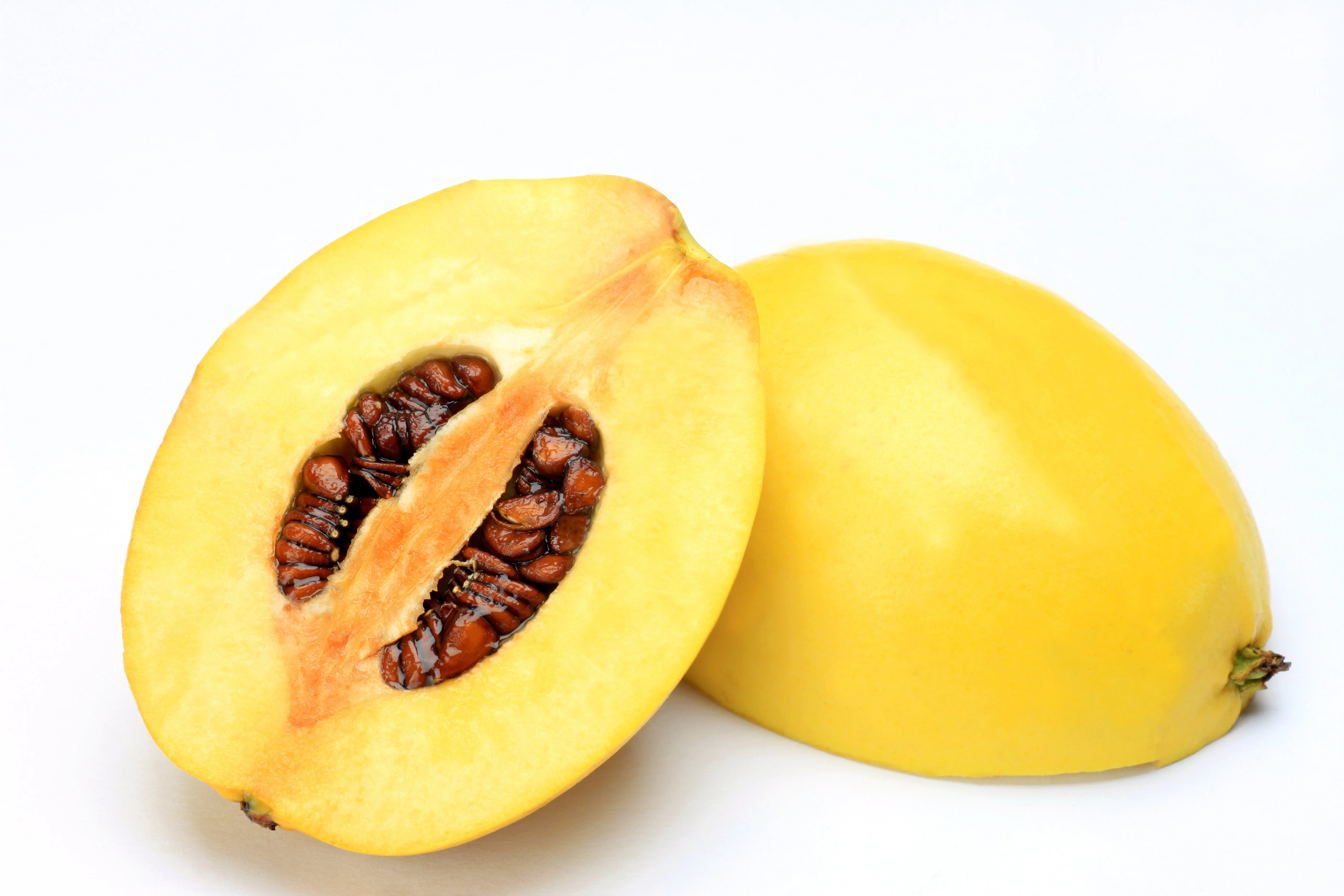 20 Chinese QUINCE FRUIT TREE Chaenomeles Sinensis Pseudocydonia Fruit Flower Seeds Thornless - Image 12