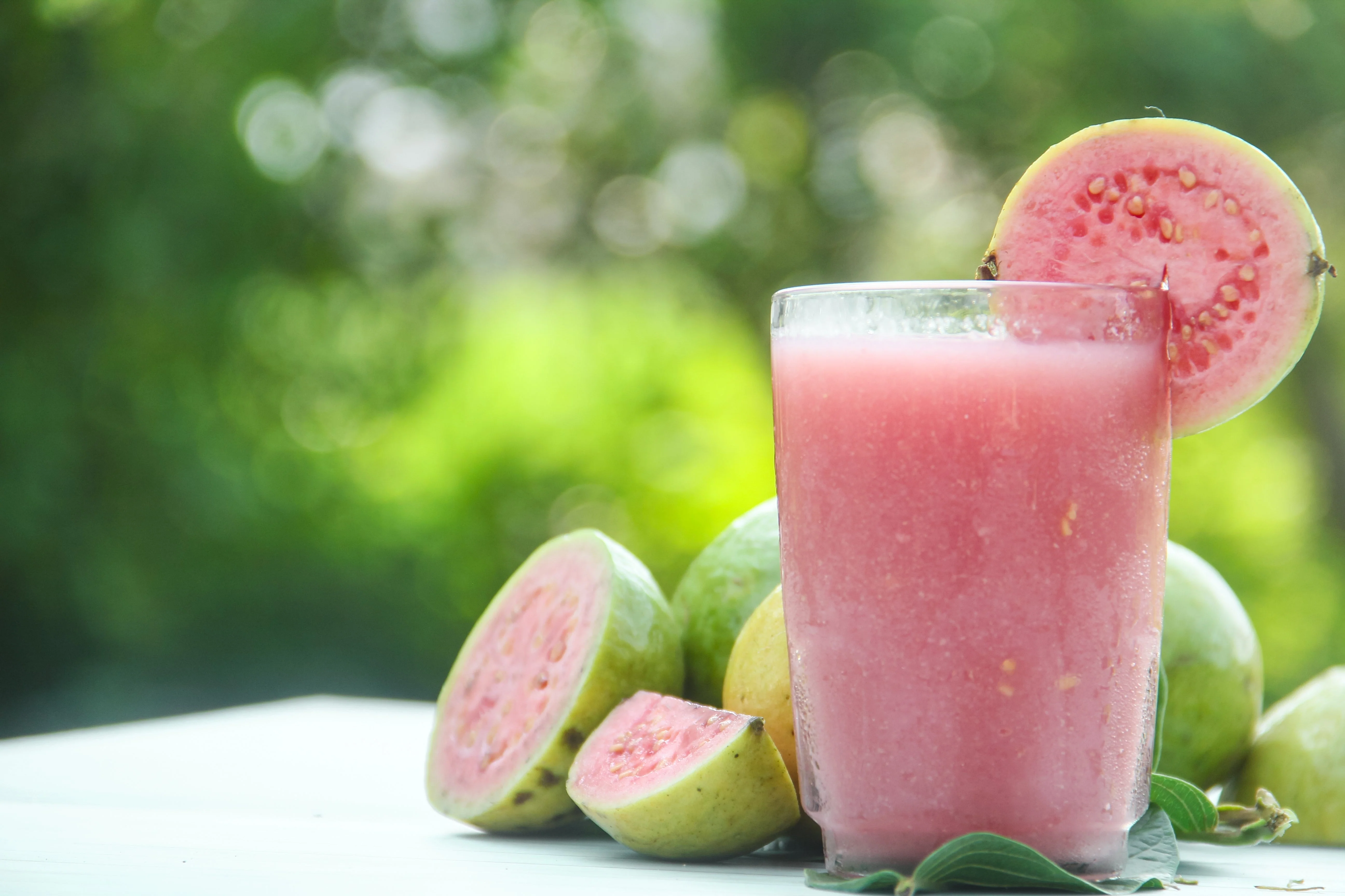 20 GUAVA FRUIT Tree Shrub Psidium Guajava White Flowers Fruit Seeds - Image 10