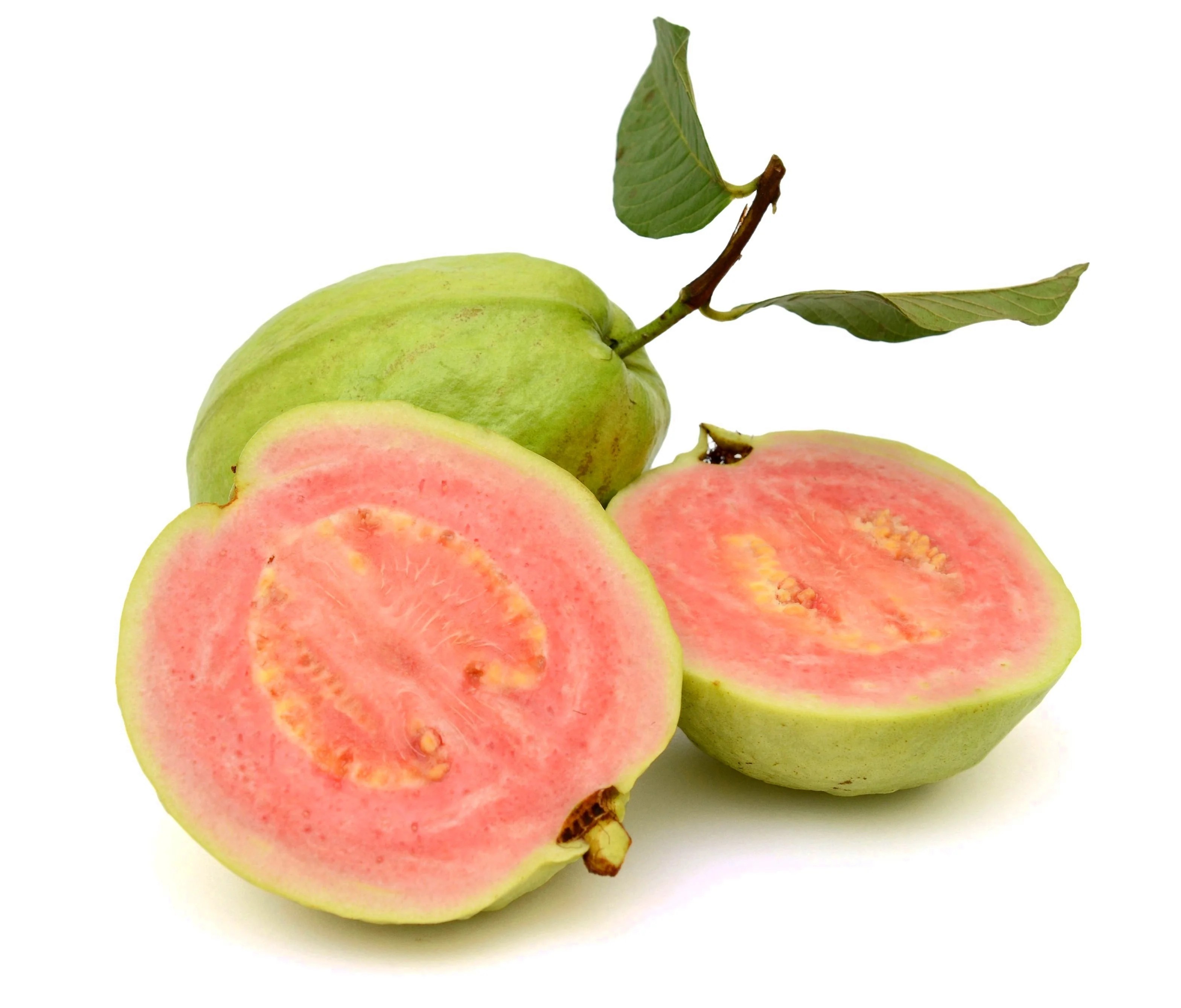20 GUAVA FRUIT Tree Shrub Psidium Guajava White Flowers Fruit Seeds - Image 4