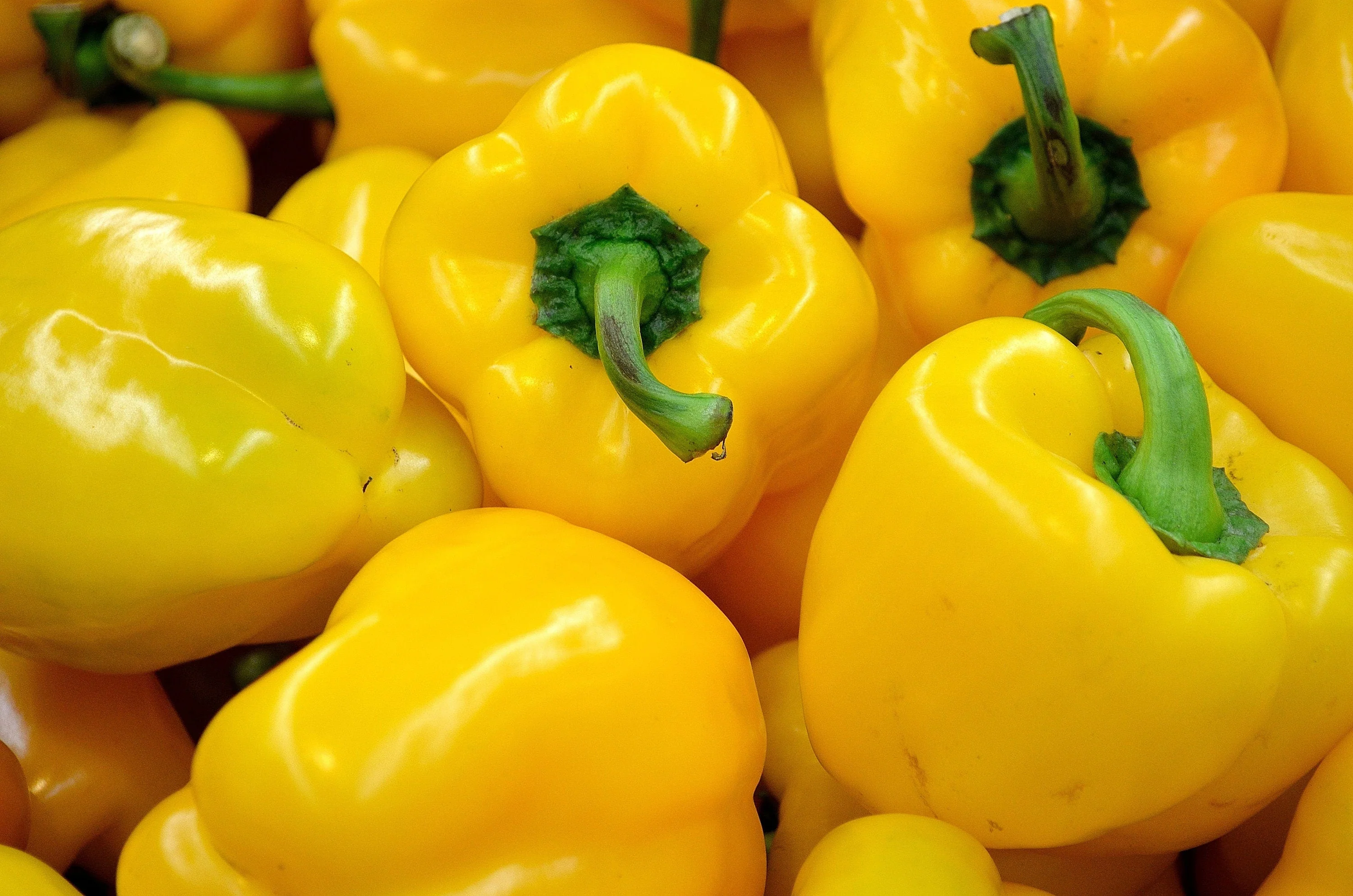 20 Organic Yellow MINI BELL PEPPER Sweet Mild Miniature Capsicum Annuum Vegetable Seeds - Image 5