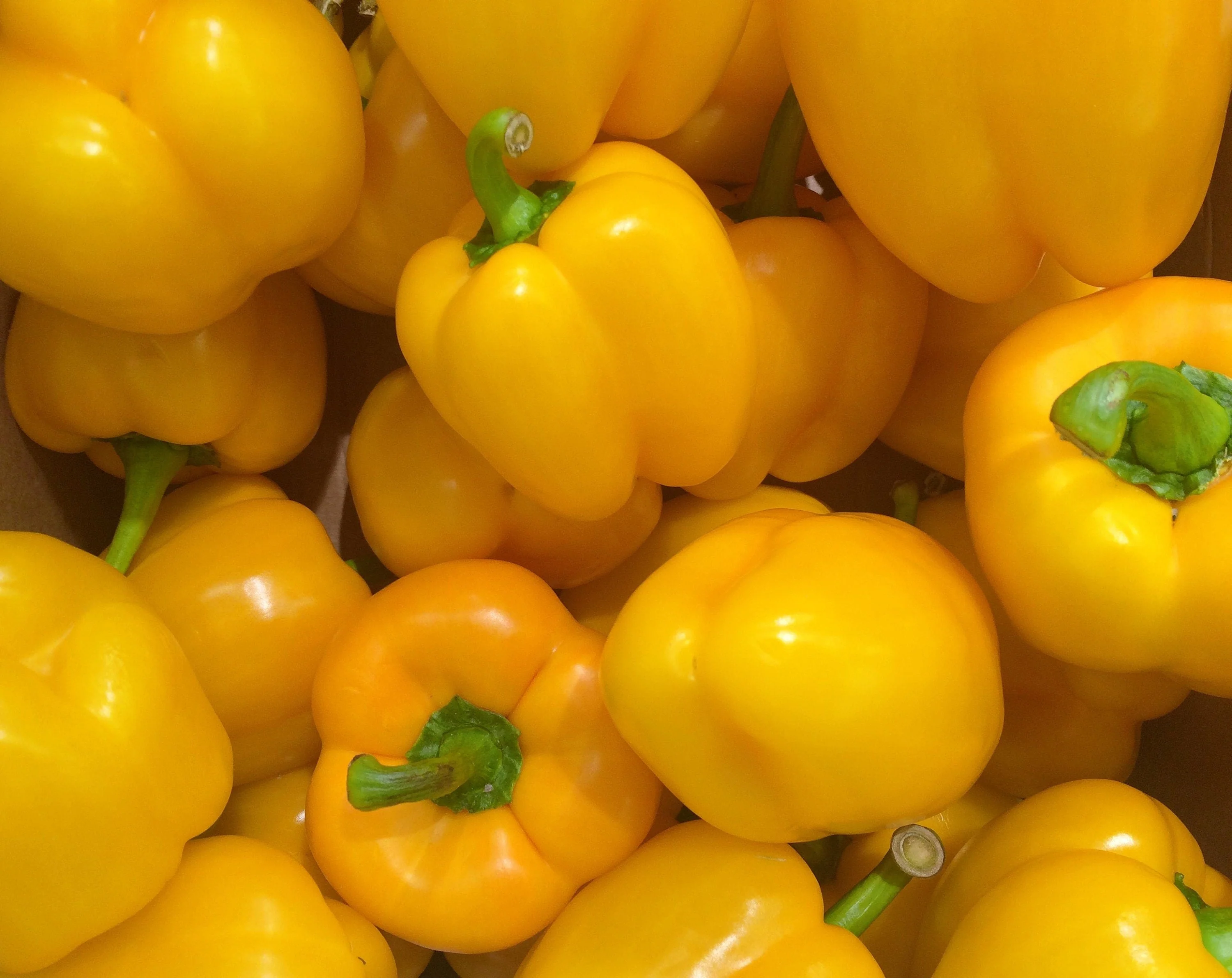 20 Organic Yellow MINI BELL PEPPER Sweet Mild Miniature Capsicum Annuum Vegetable Seeds - Image 6