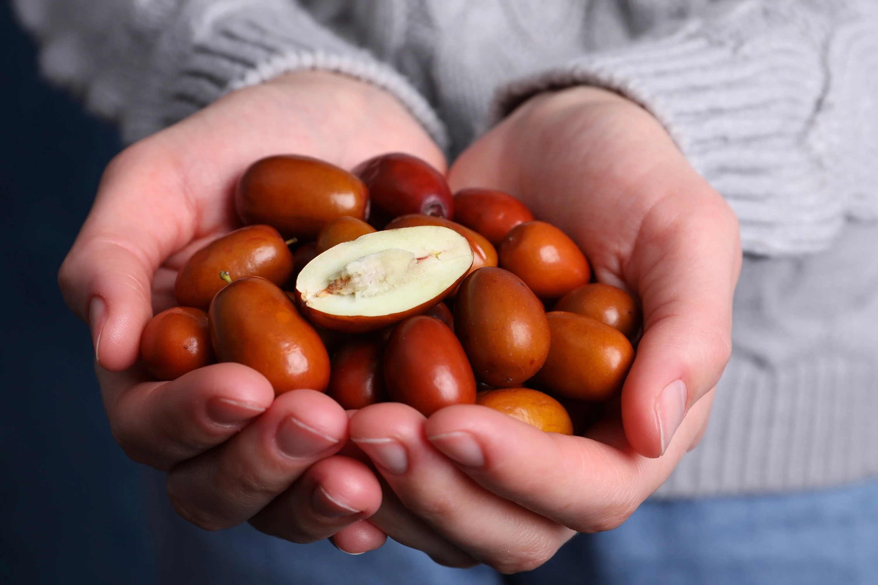 20 RED Chinese DATE TREE Edible Fruit Jujube Ziziphus Jujuba Yellow Flower Seeds - Image 2