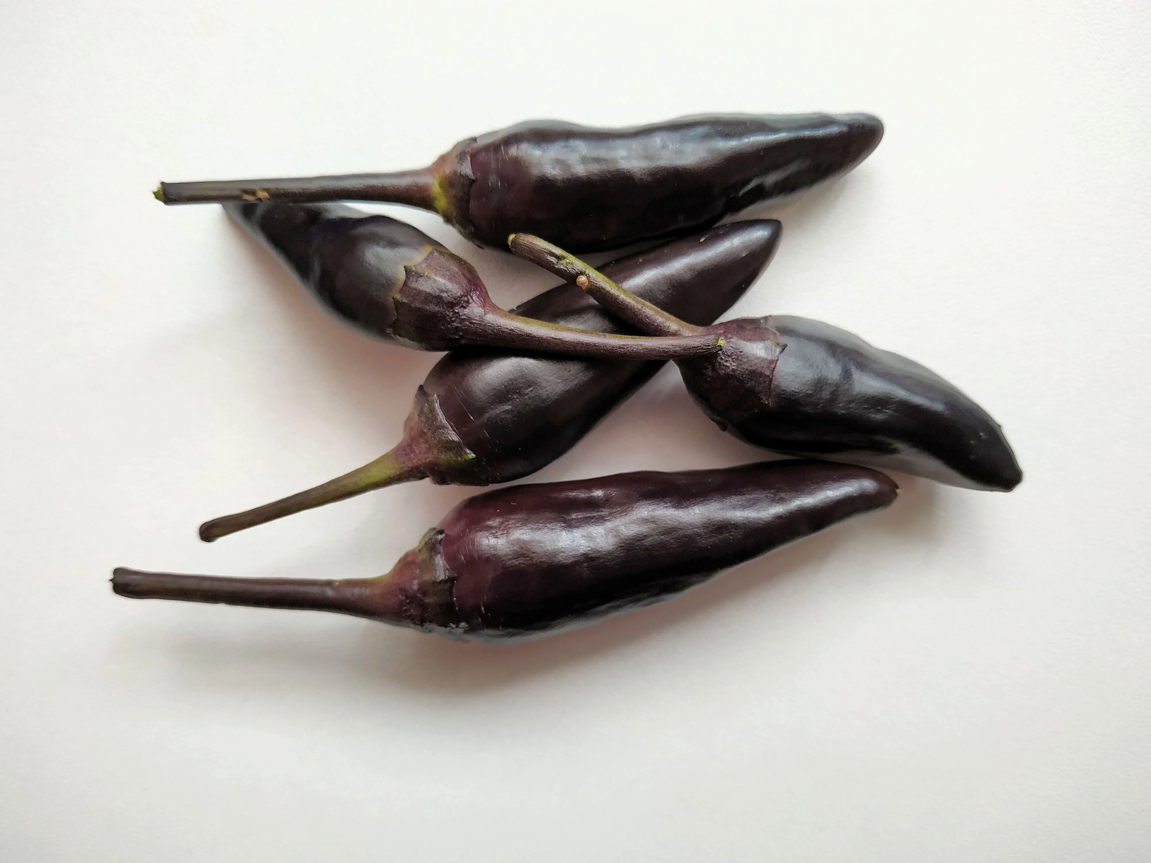 20 ROYAL BLACK PEPPER Capsicum Annuum Very Hot Chilli Vegetable Seeds - Image 3