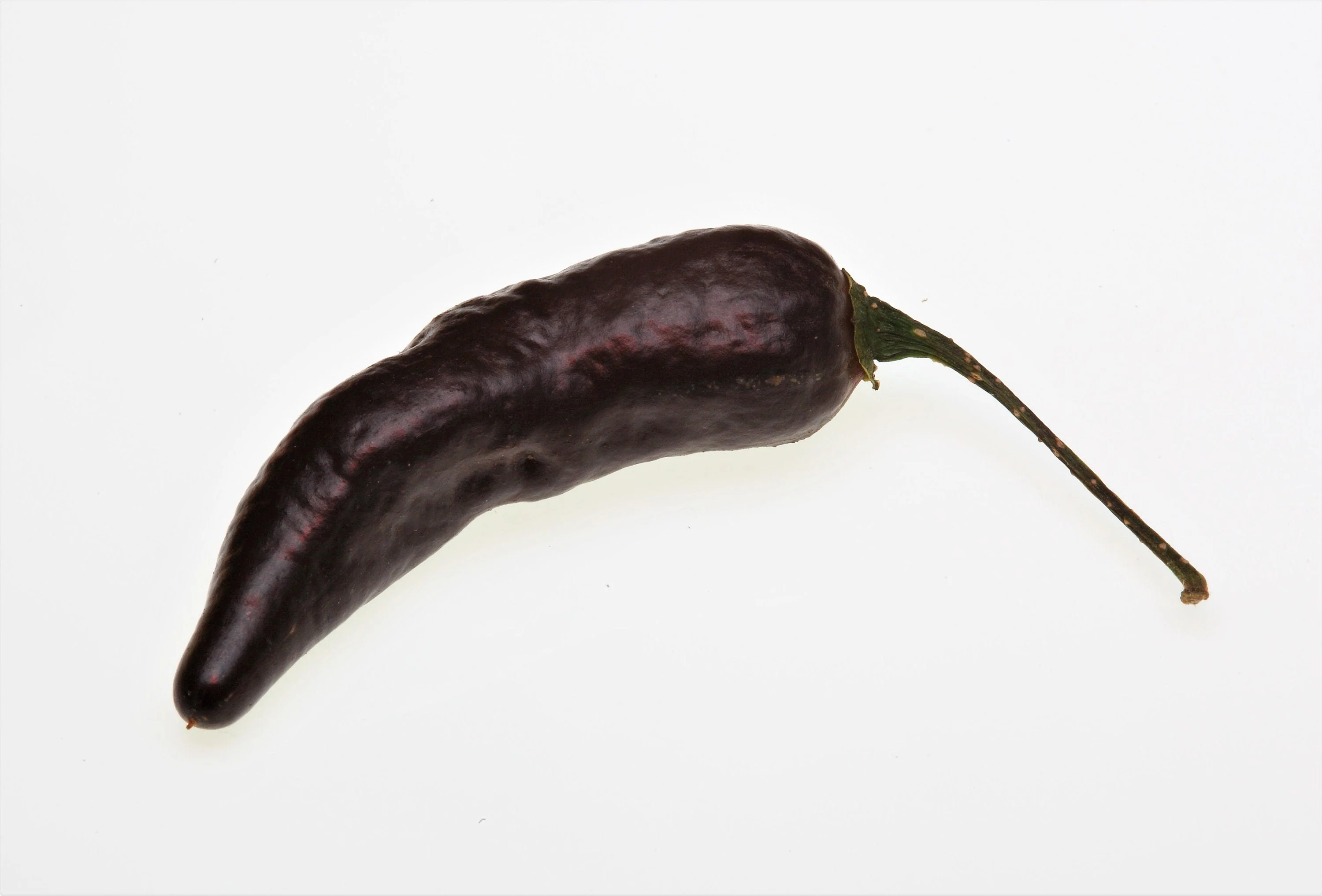 20 ROYAL BLACK PEPPER Capsicum Annuum Very Hot Chilli Vegetable Seeds - Image 6