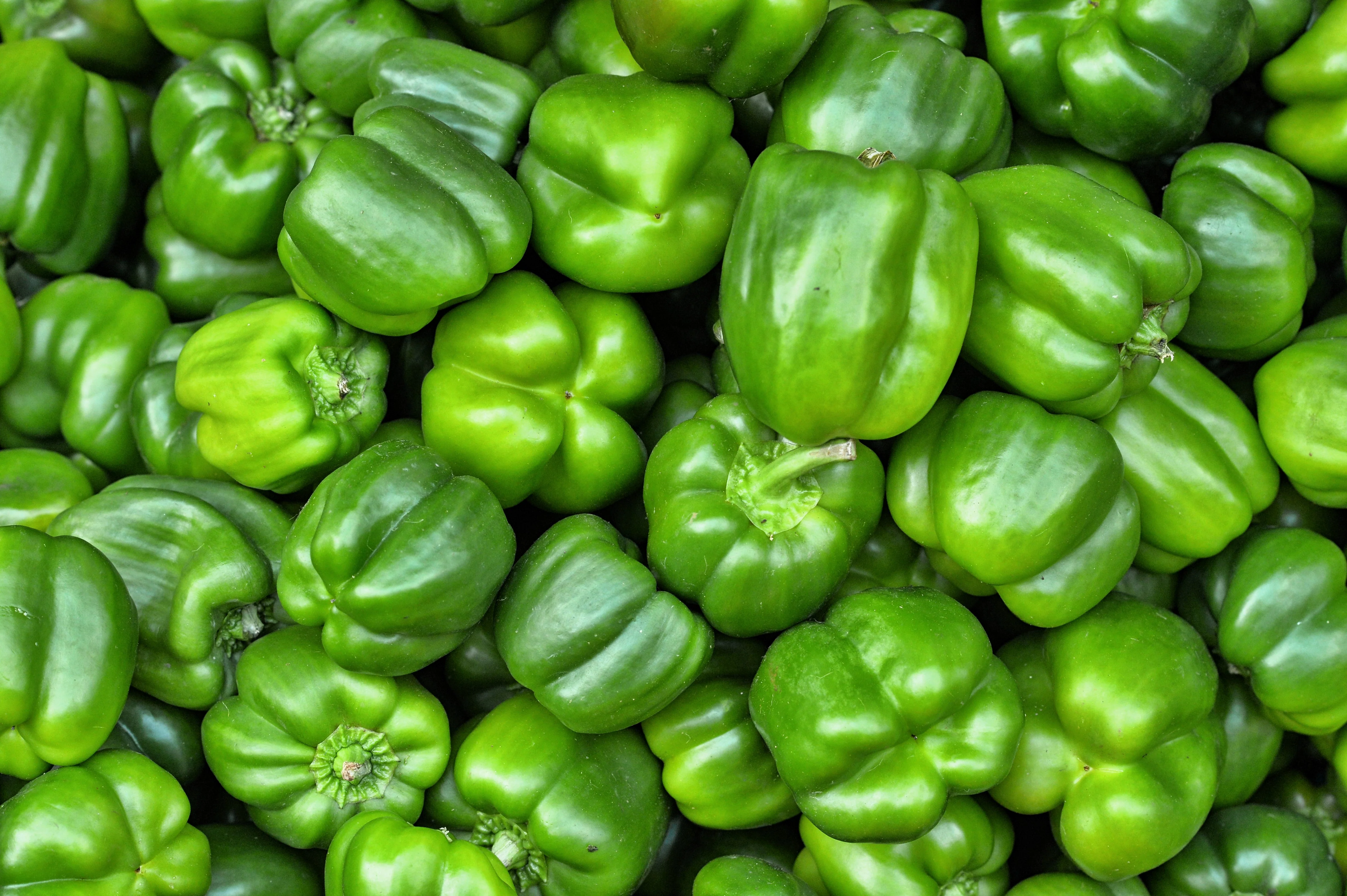 200 BIG GREEN Bell PEPPER Sweet Capsicum Annuum Vegetable Seeds - Image 3