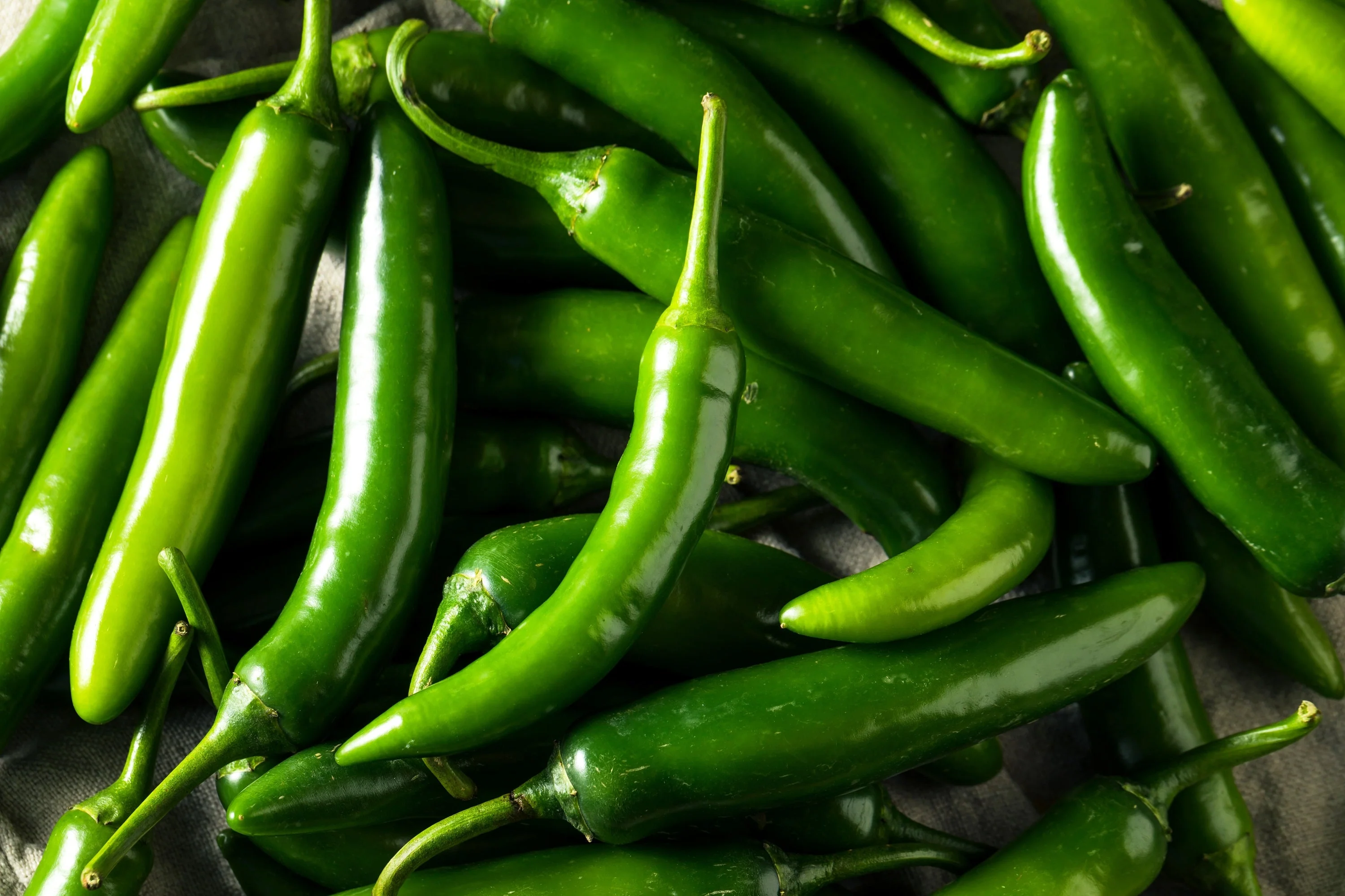 200 Hot SERRANO TAMPIQUENO PEPPER Mexican Chile Capsicum Annuum Vegetable Seeds - Image 4