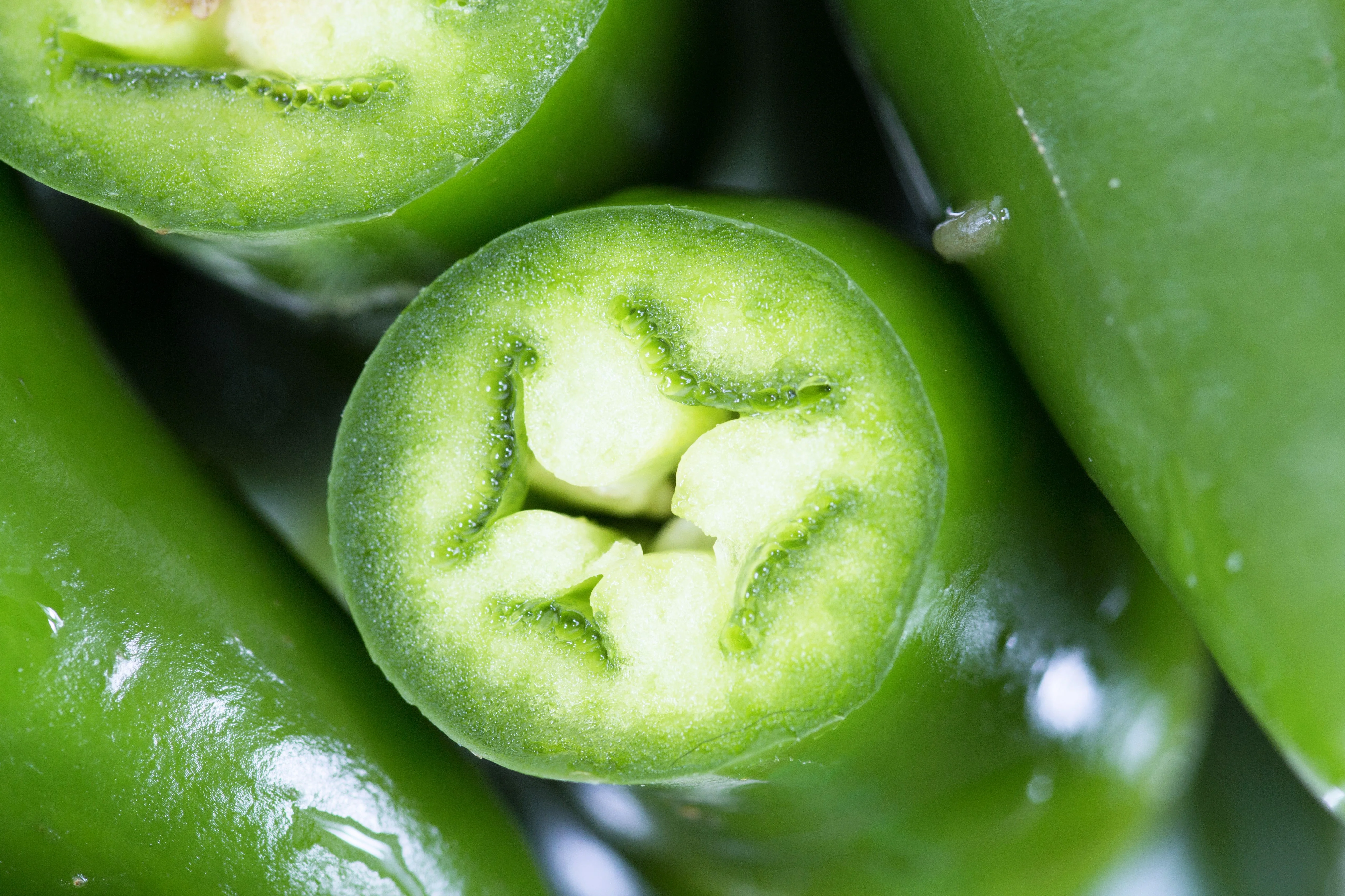 200 Hot SERRANO TAMPIQUENO PEPPER Mexican Chile Capsicum Annuum Vegetable Seeds - Image 9