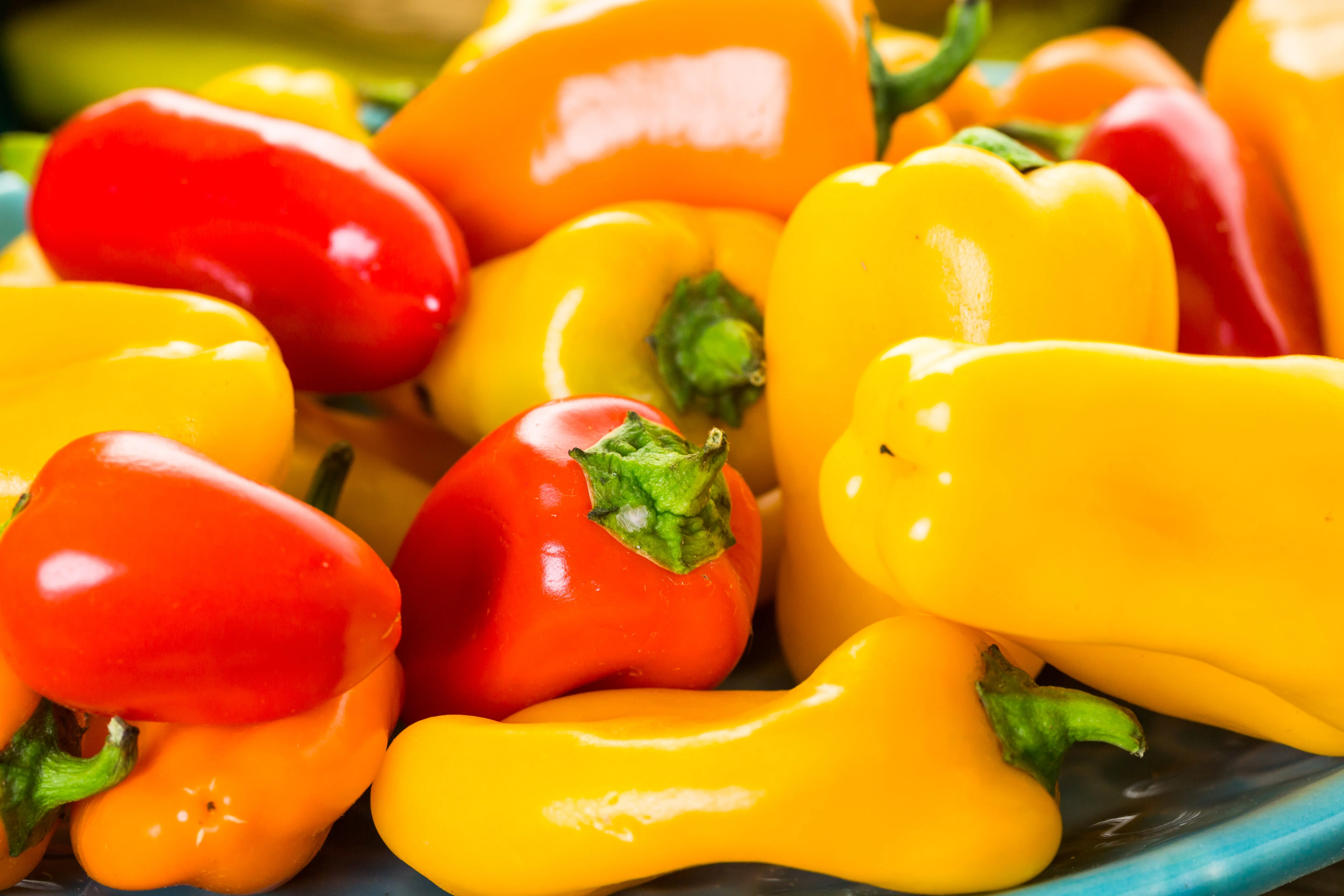 200 SANTA Fe GRANDE PEPPER (Guero Chili Pepper / Yellow Hot Chili Pepper) Capsicum Annuum Vegetable Seeds - Image 2