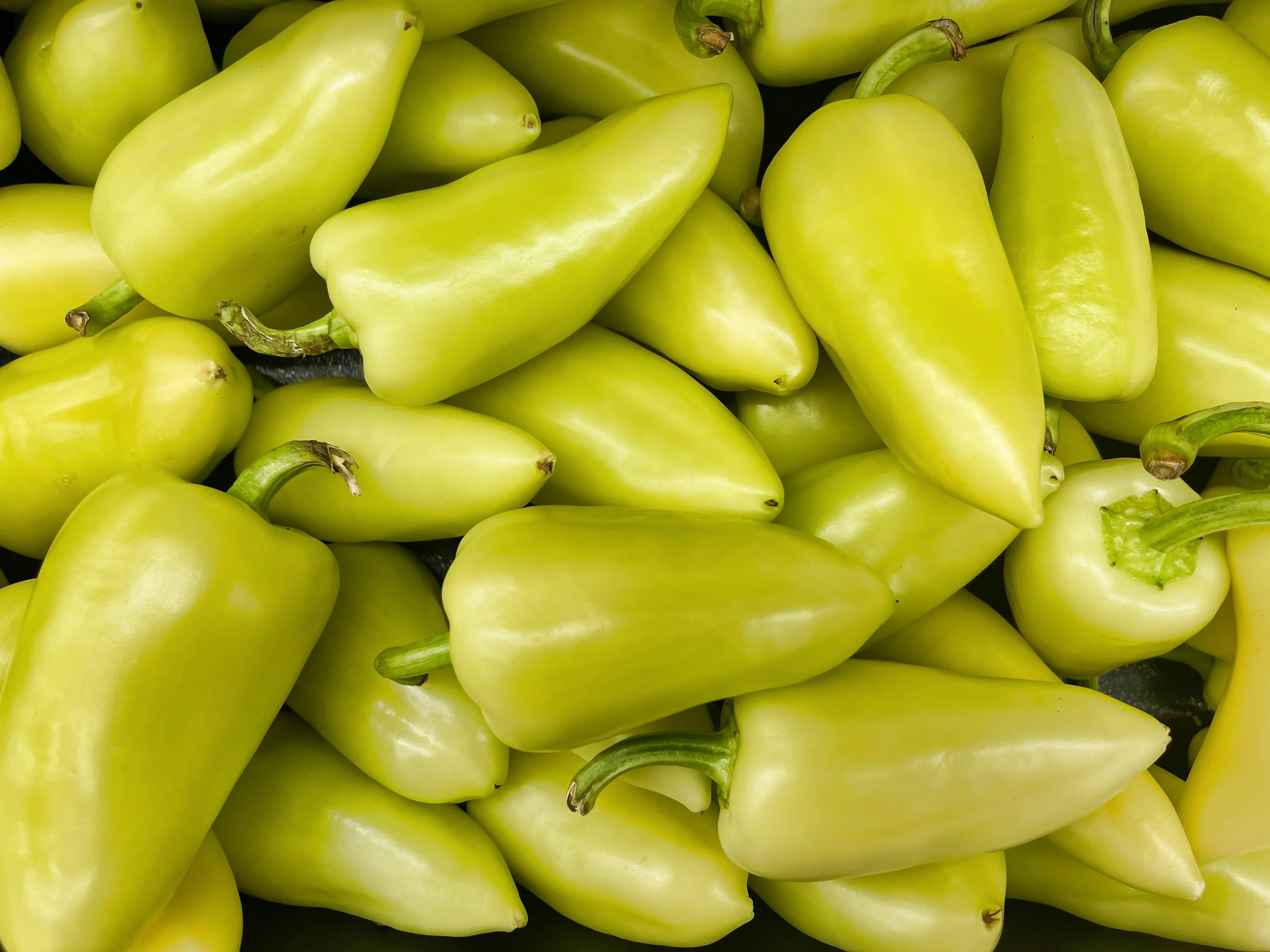 200 SANTA Fe GRANDE PEPPER (Guero Chili Pepper / Yellow Hot Chili Pepper) Capsicum Annuum Vegetable Seeds - Image 5
