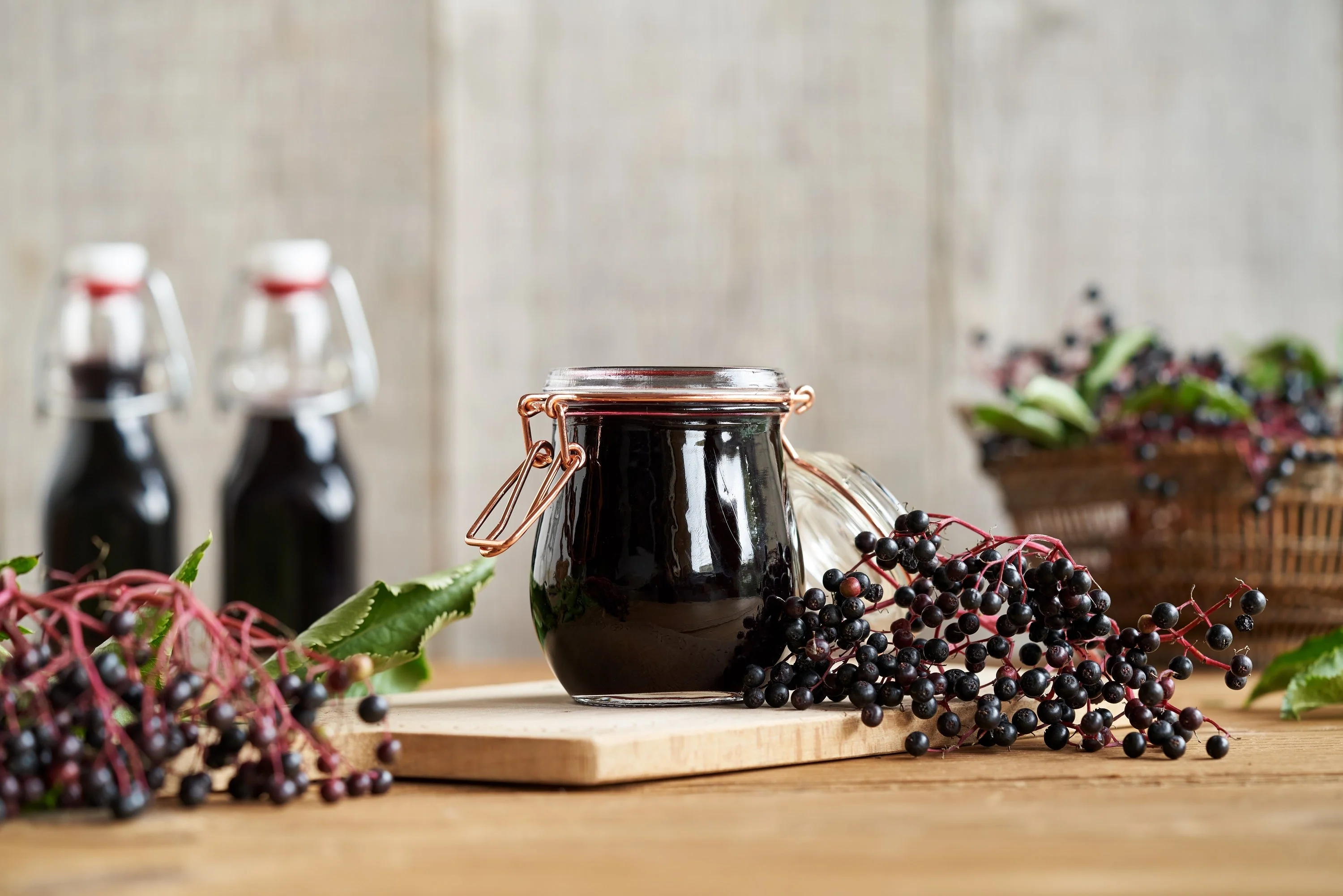 25 American ELDERBERRY FRUIT BUSH Shrub Tree Sambucus Nigra Seeds - Image 9