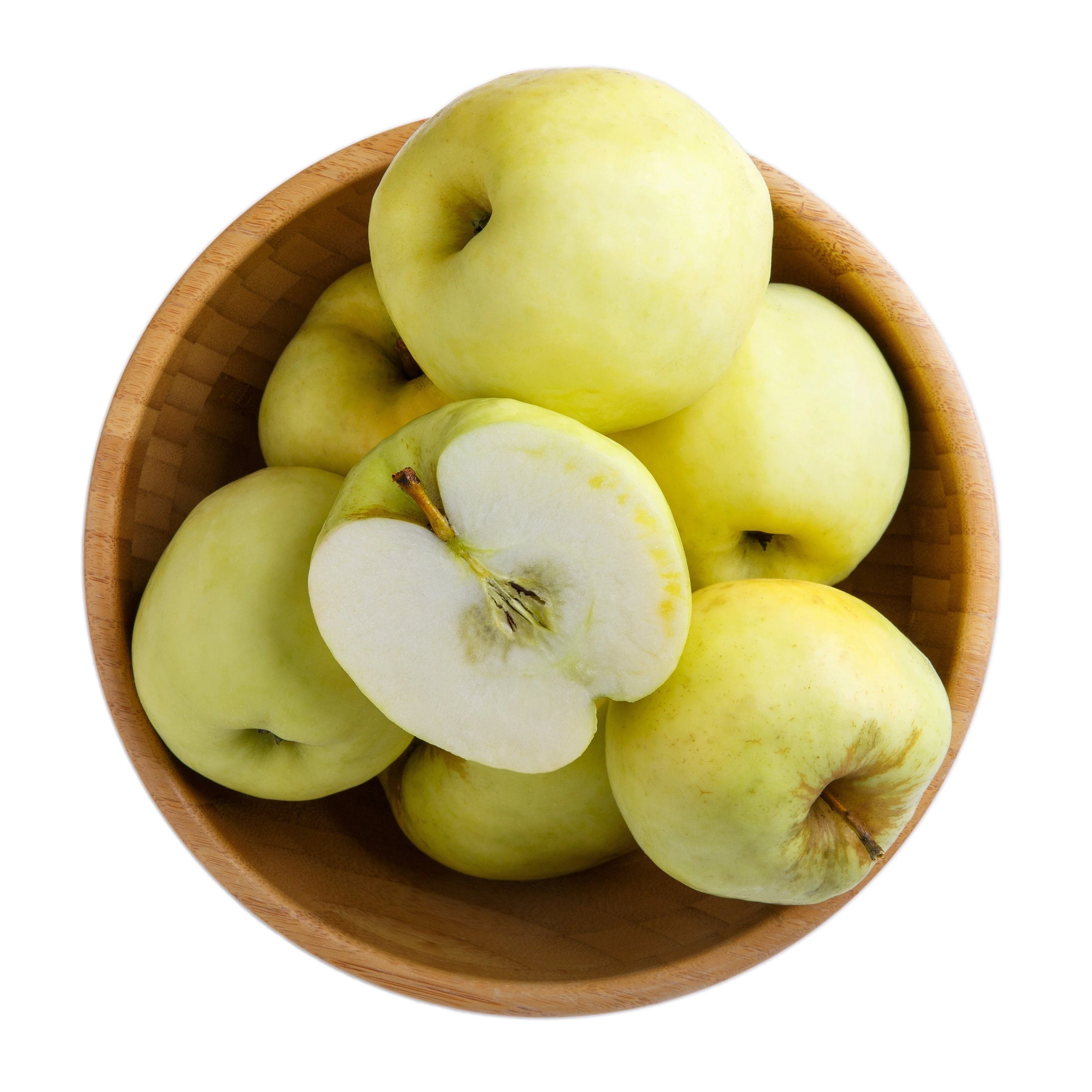 25 ANTONOVKA APPLE TREE Malus Pumila var. Antonovka Yellow Green Fruit Pink White Flower Seeds - Image 10