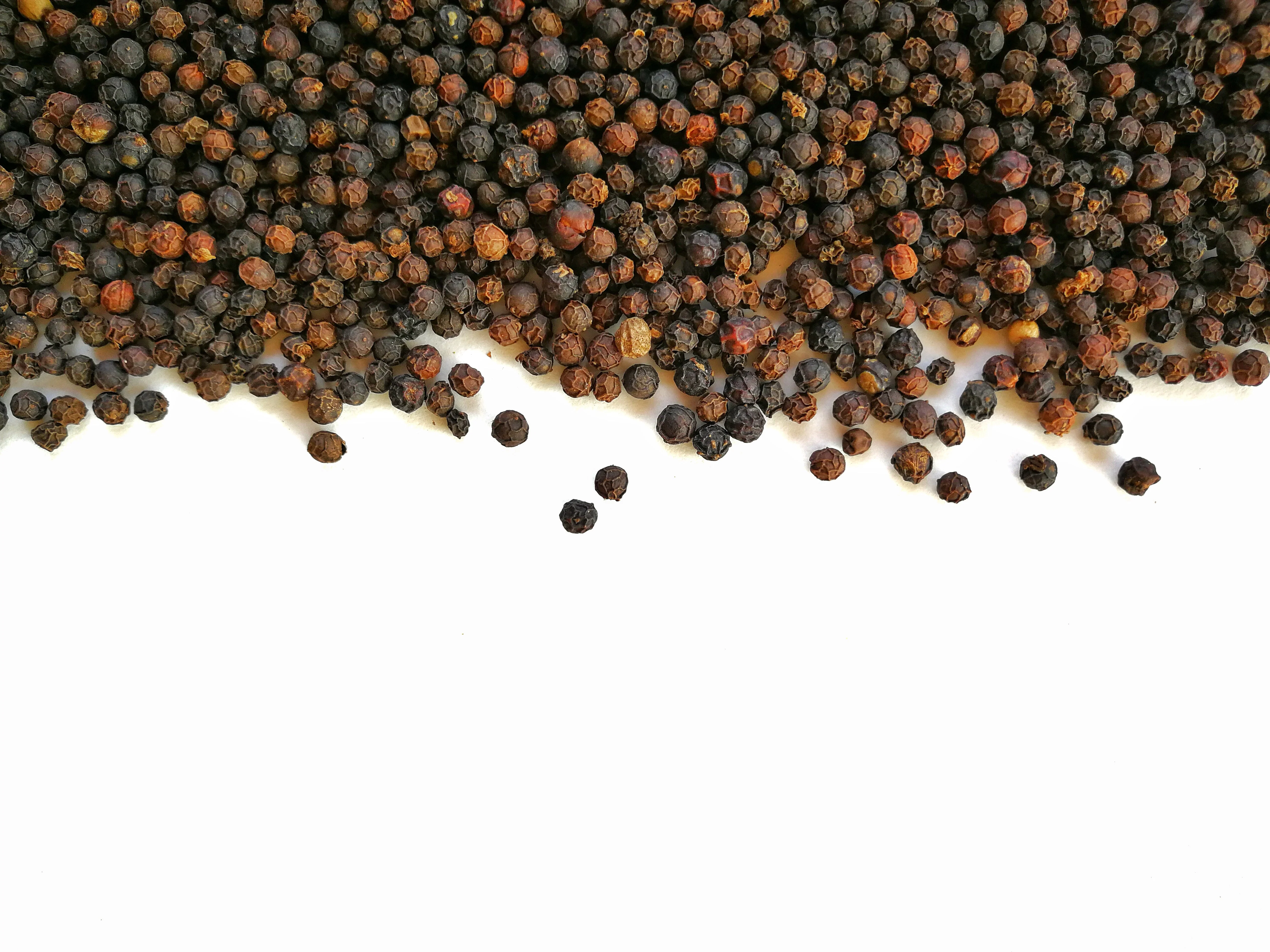 25 BLACK PEPPERCORN Black Pepper Piper Nigrum Spice Vine Seeds - Image 12
