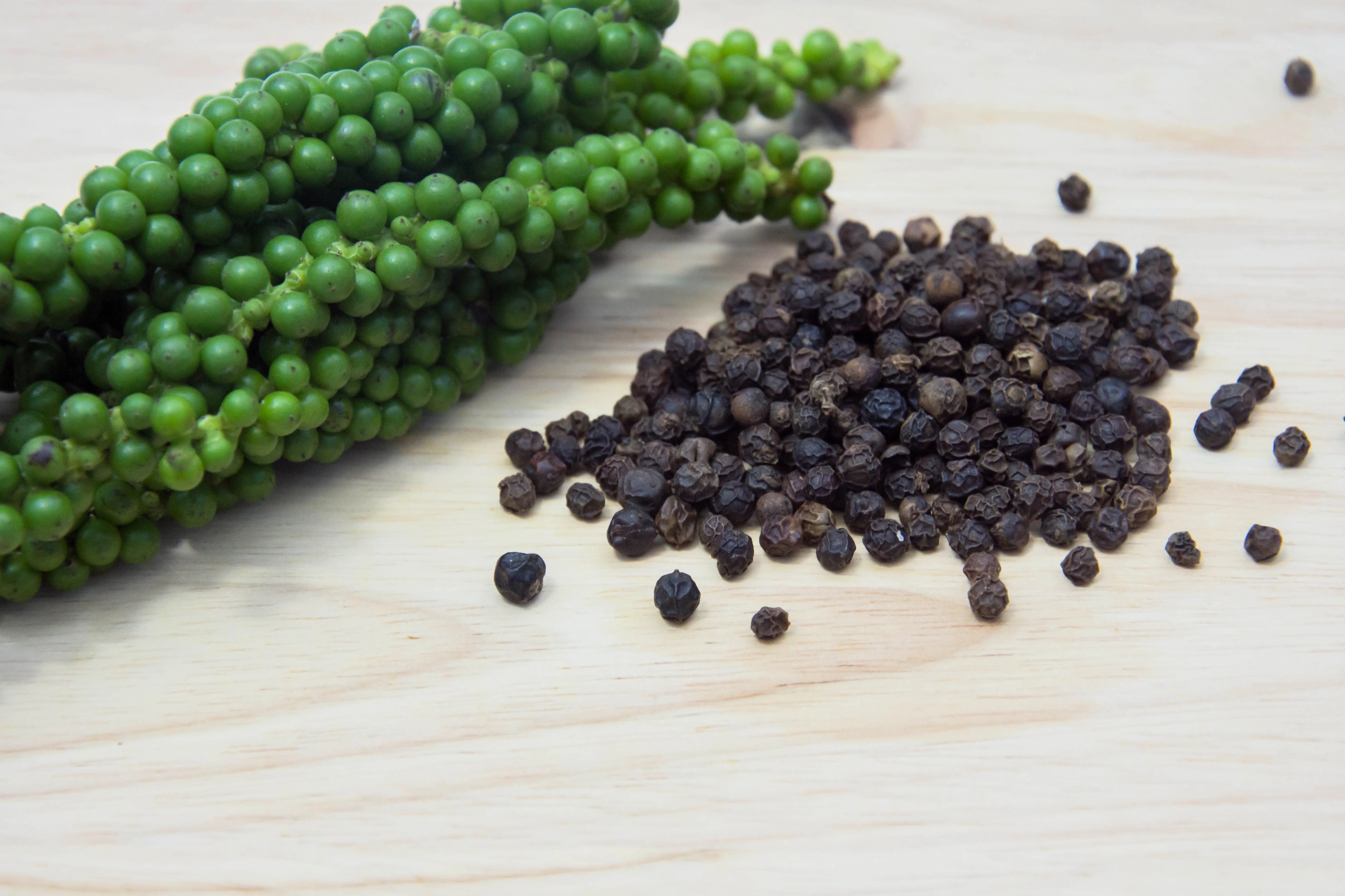 25 BLACK PEPPERCORN Black Pepper Piper Nigrum Spice Vine Seeds - Image 9