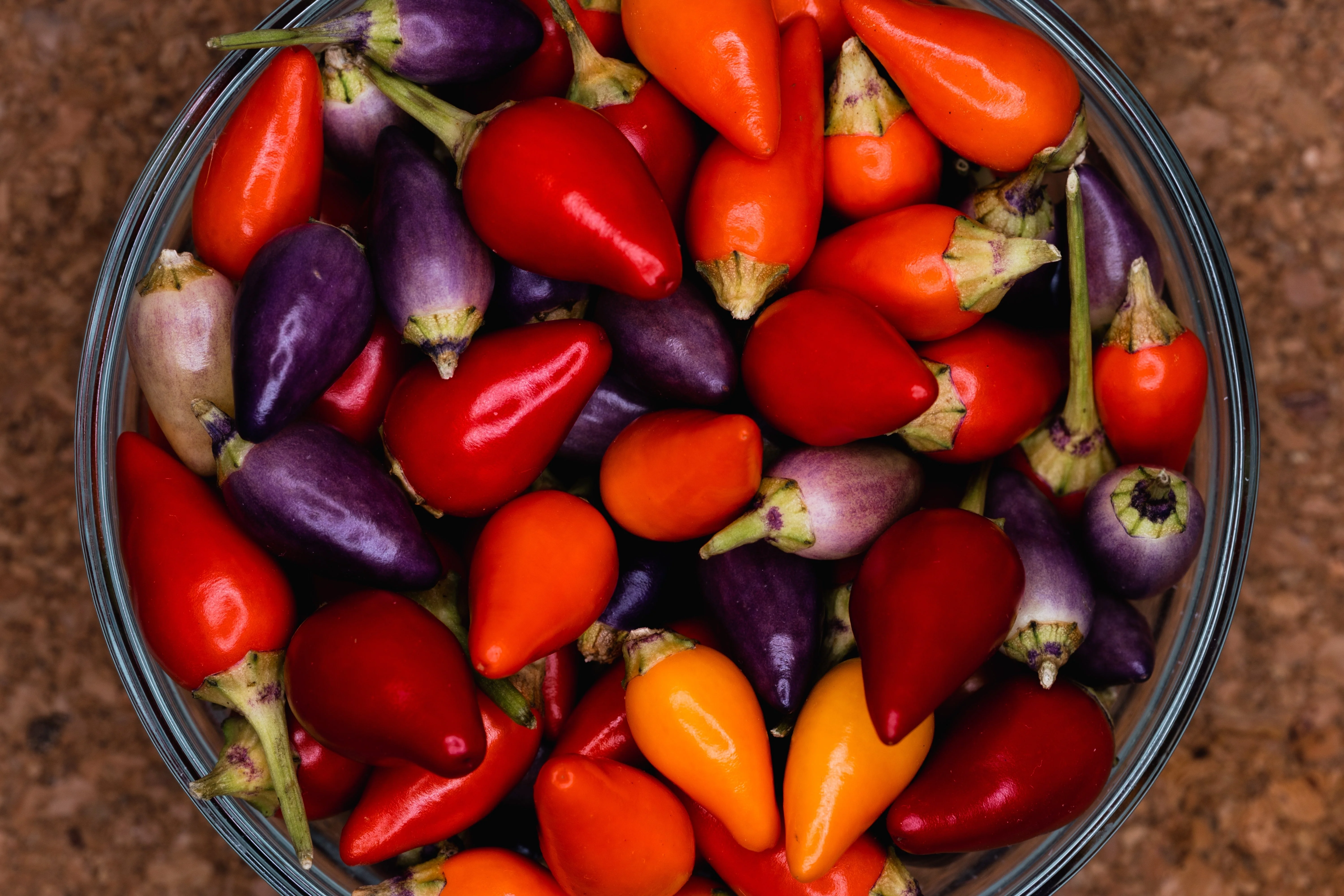 25 BOLIVIAN RAINBOW PEPPER Multi Colored Chili Capsicum Annuum Vegetable Seeds - Image 2