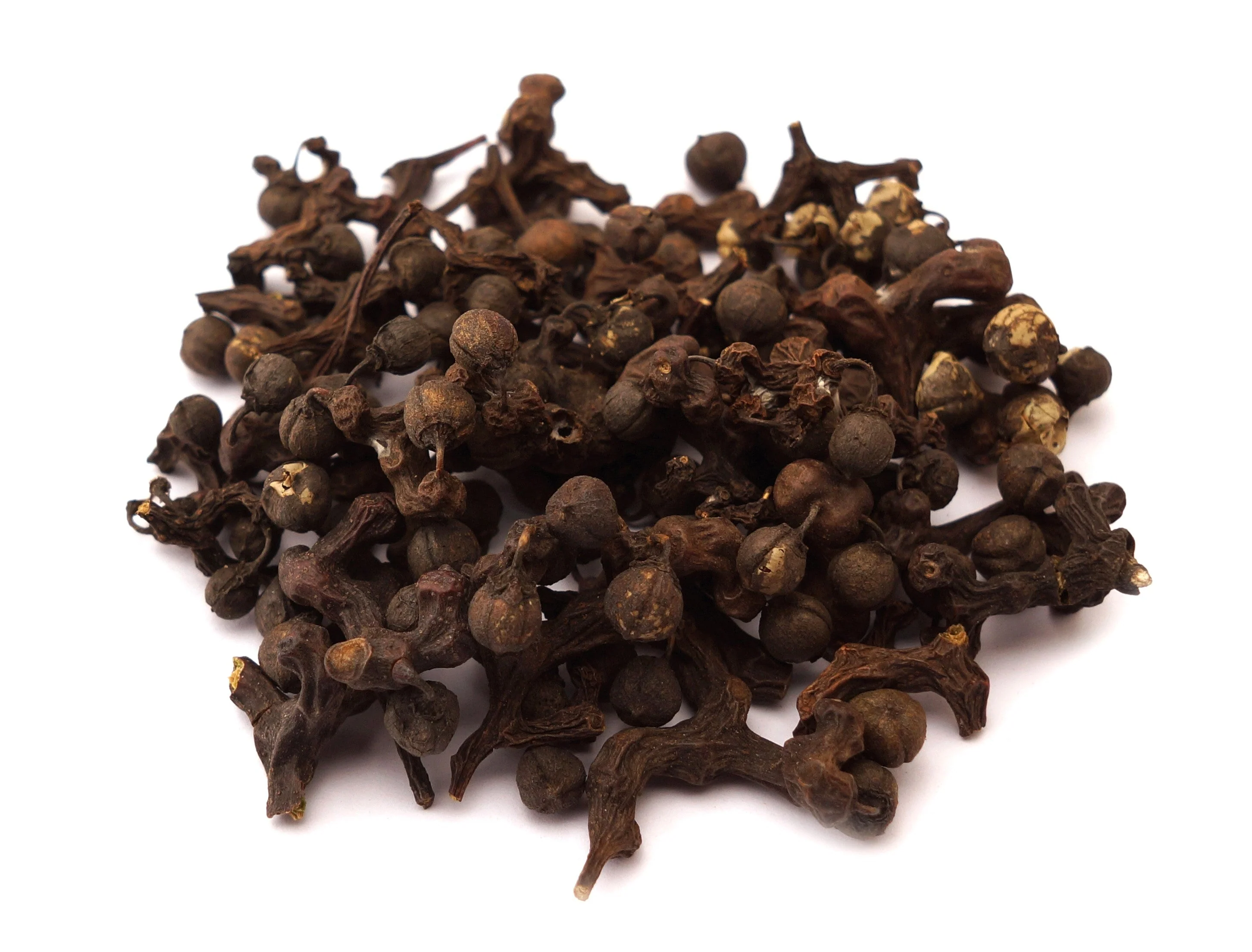 25 JAPANESE RAISIN TREE Edible Fruit Oriental Honey Flowers Hovenia Dulcis Seeds - Image 8