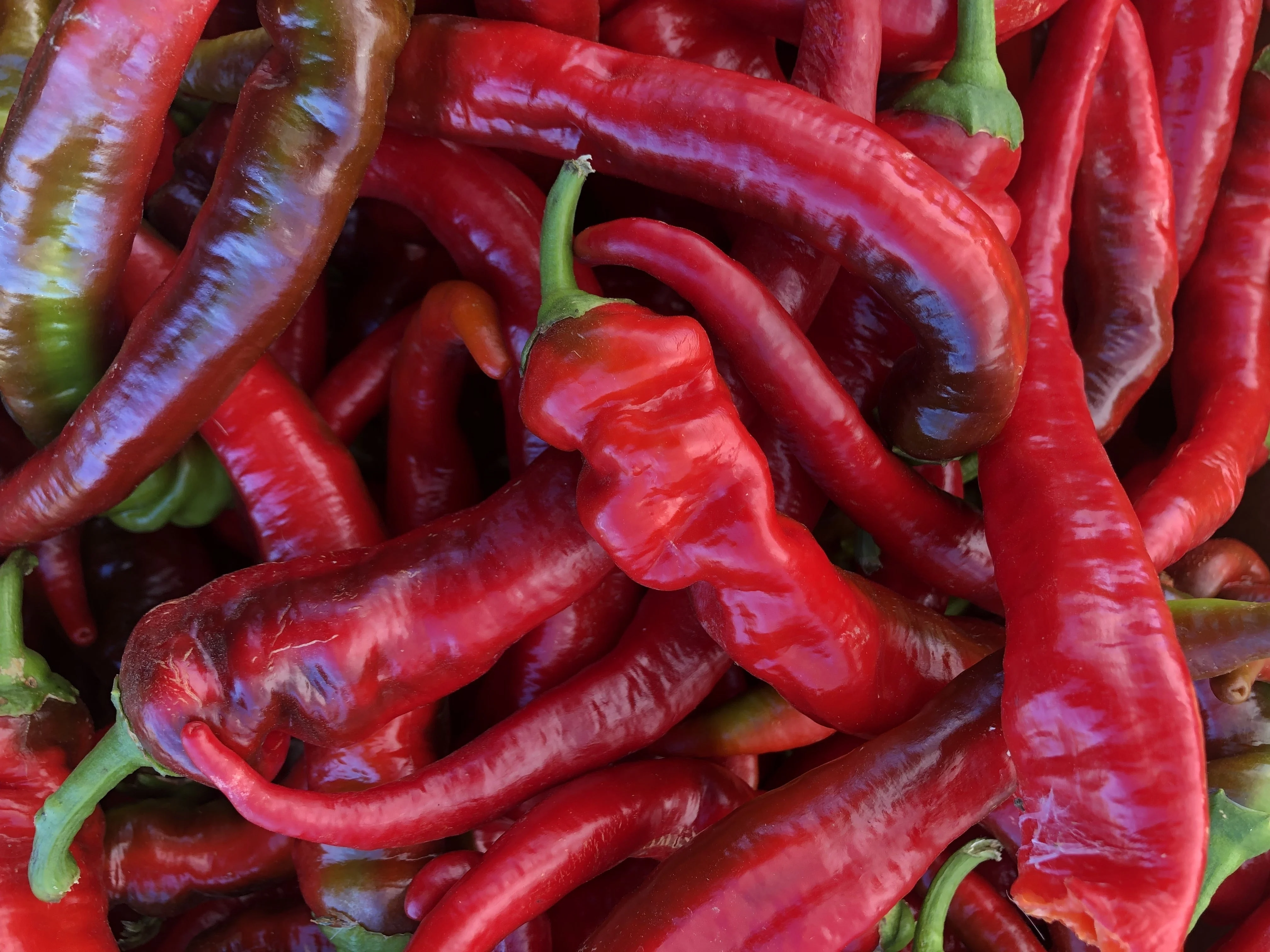 25 JIMMY NARDELLO PEPPER Sweet Red Italian Capsicum Annuum Vegetable Seeds - Image 5