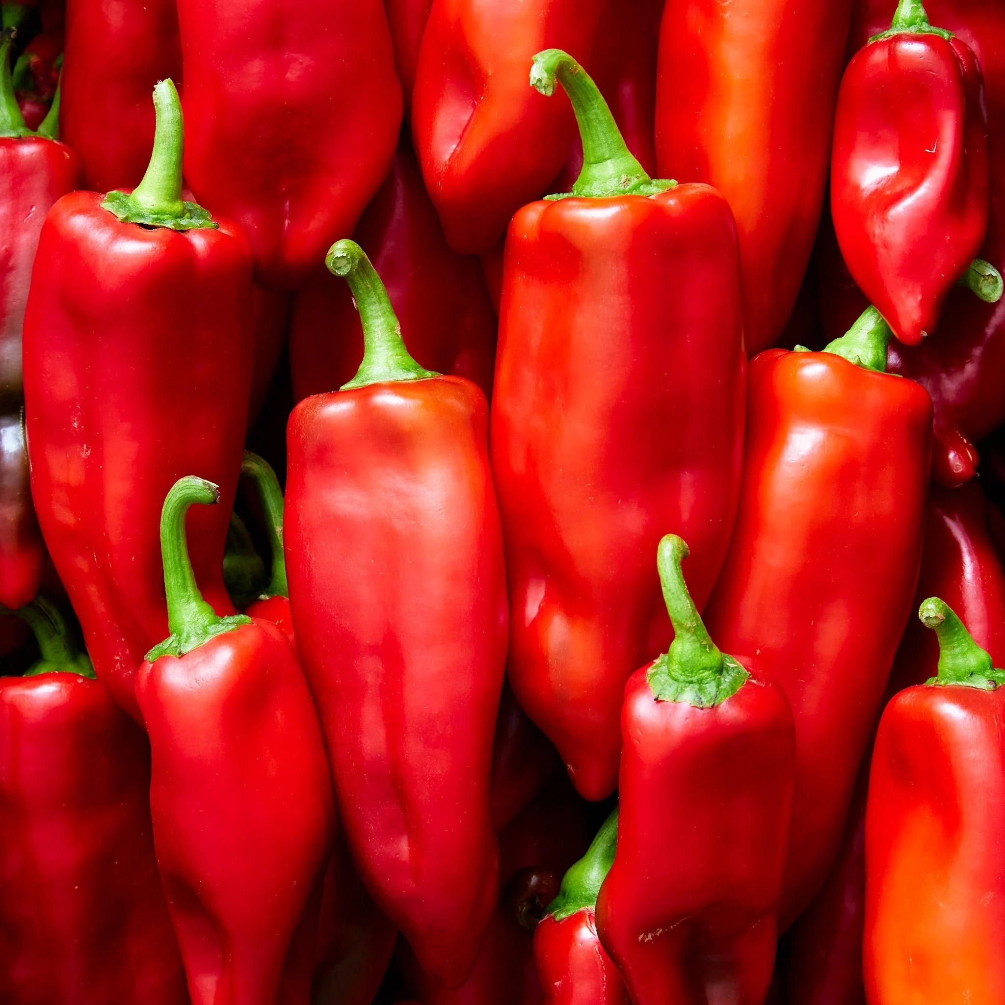 25 JIMMY NARDELLO PEPPER Sweet Red Italian Capsicum Annuum Vegetable Seeds - Image 8