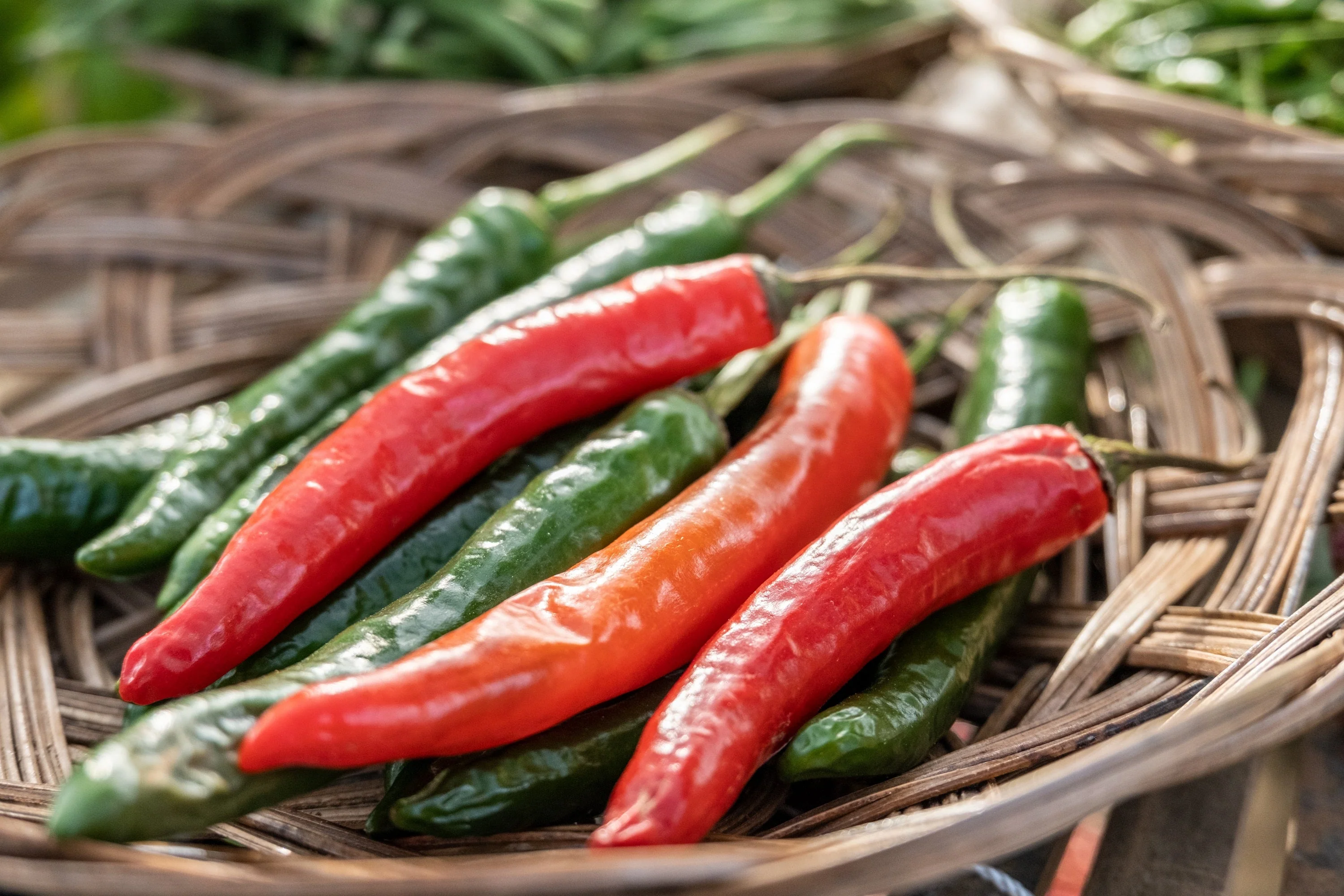 25 Organic KOREAN Dark GREEN PEPPER Lady Han Hot Chili Long Red Capsicum Annuum Seeds - Image 9